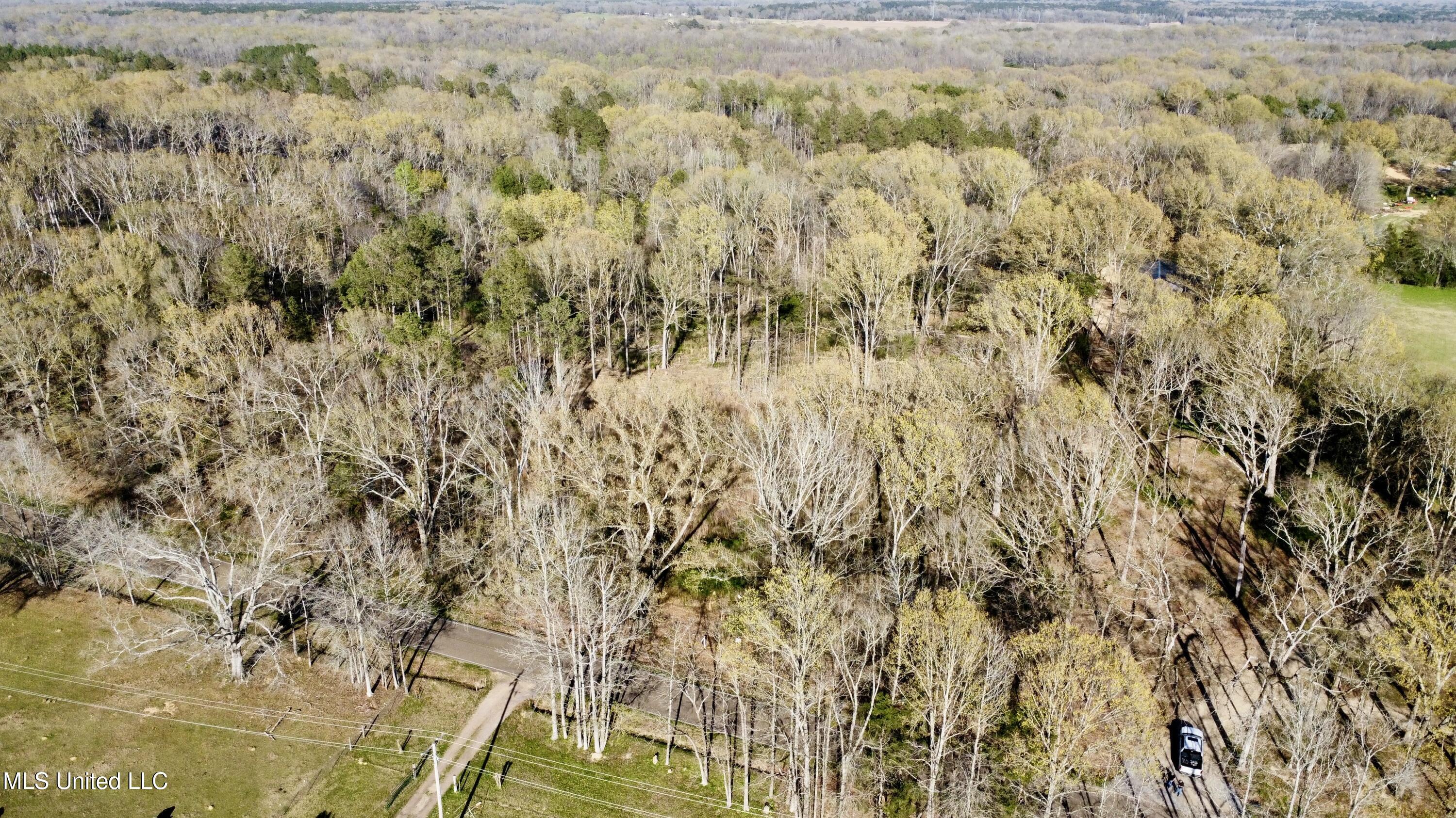 5370 Clinton-tinnin Road Property Photo 6