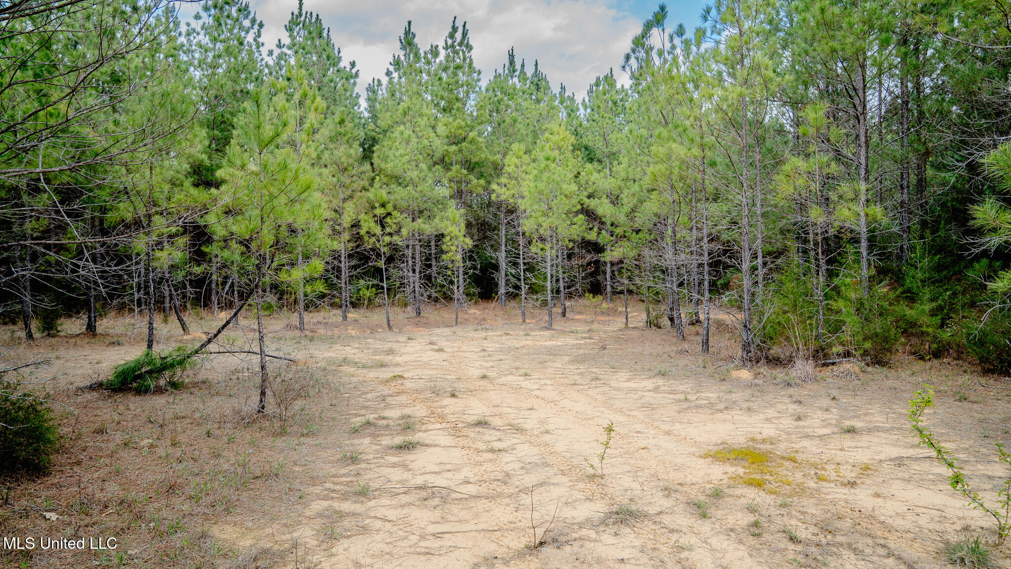 0000 Elijah Graham Road Property Photo 1
