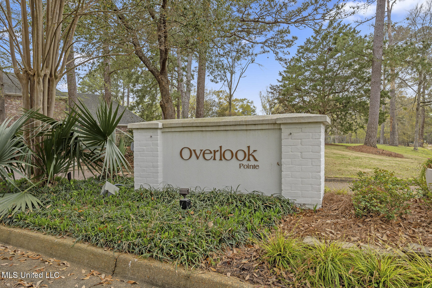 133 Overlook Pointe Drive Drive Property Photo 70