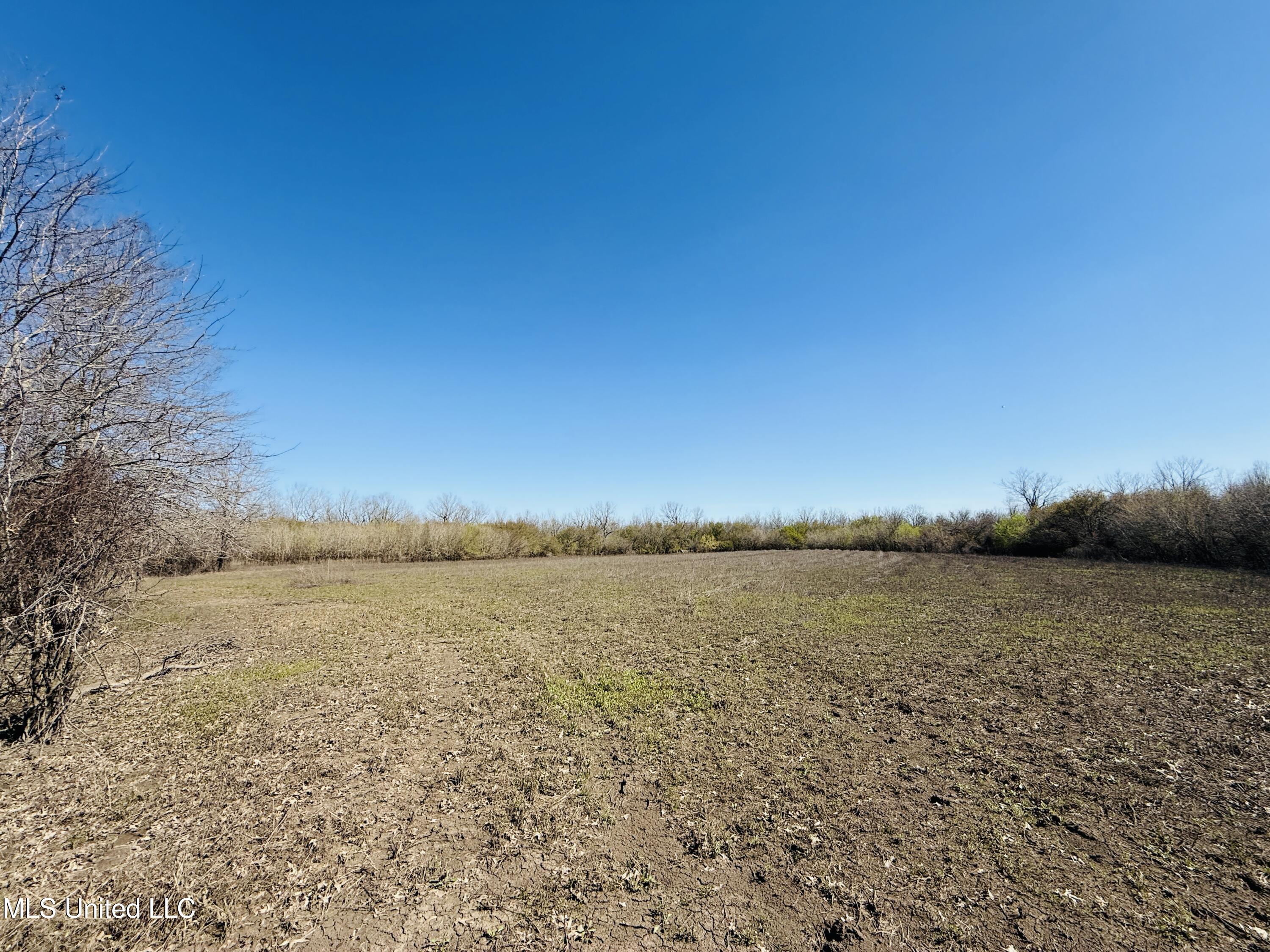 0 Priddy Road Property Photo 6