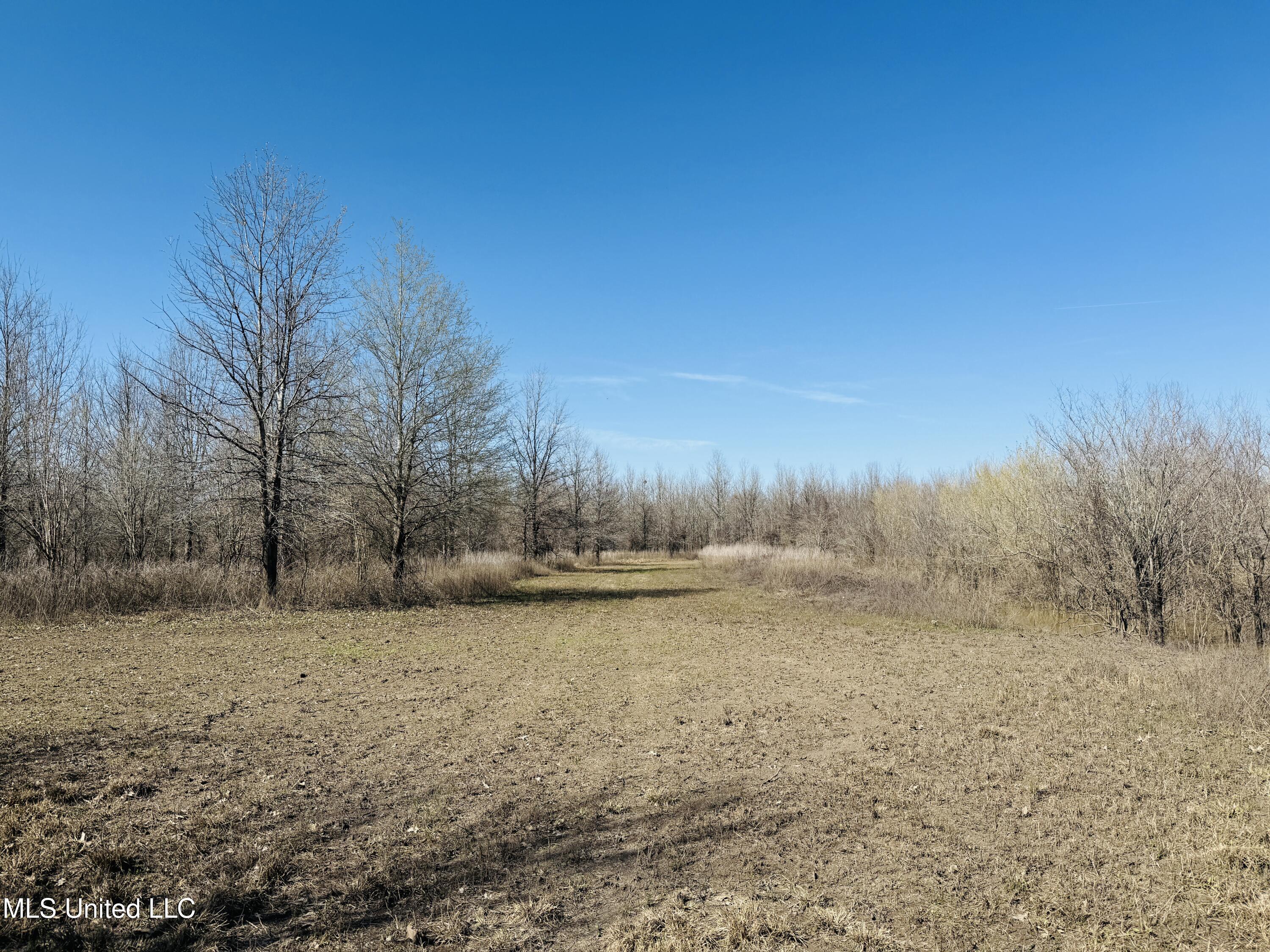 0 Priddy Road Property Photo 12
