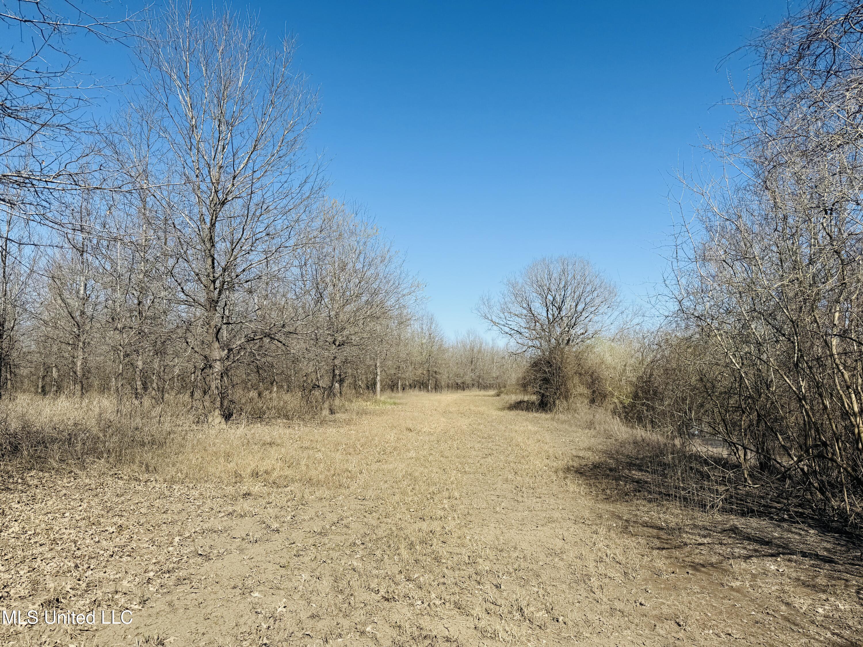 0 Priddy Road Property Photo 13