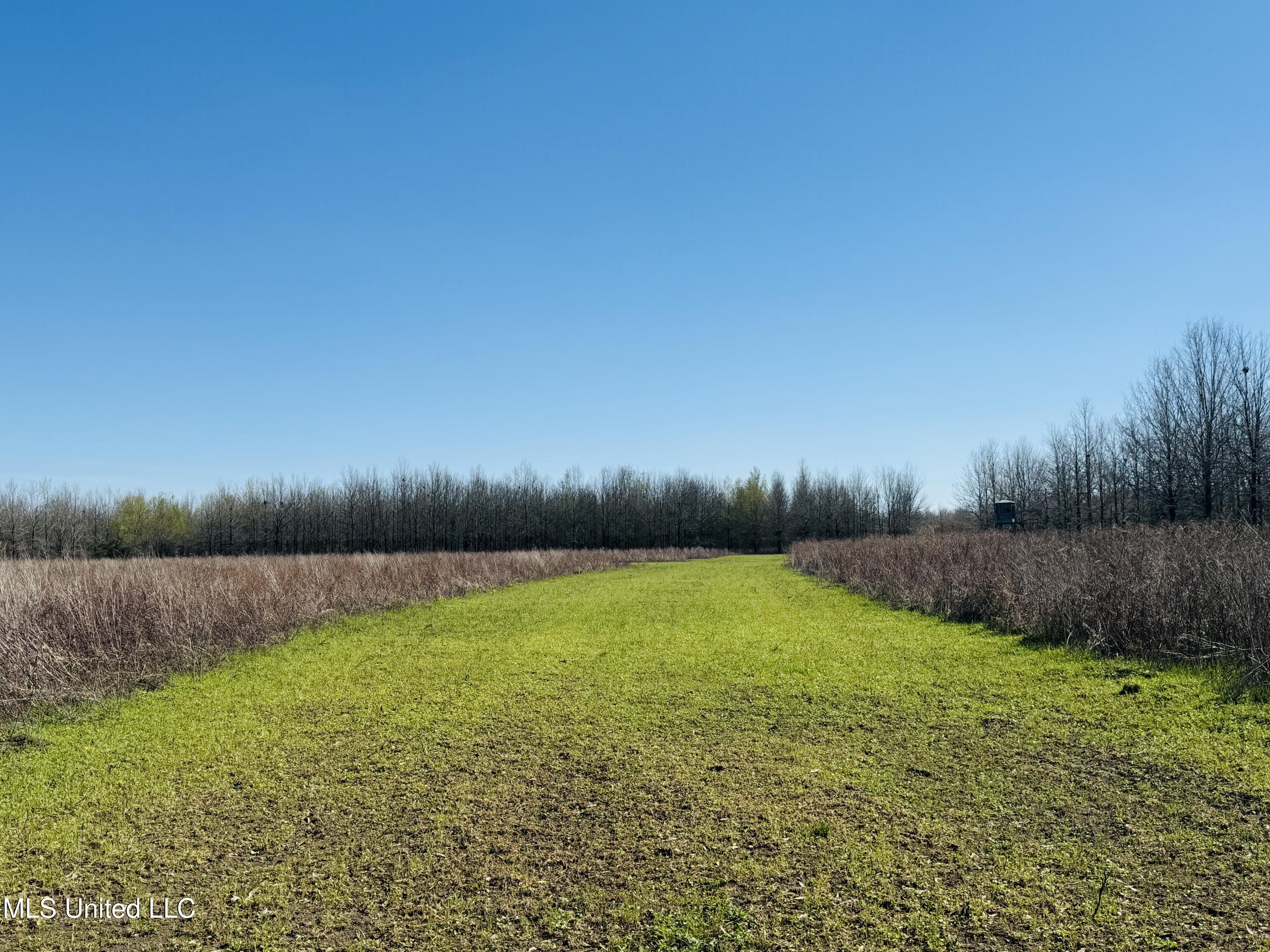0 Priddy Road Property Photo 20