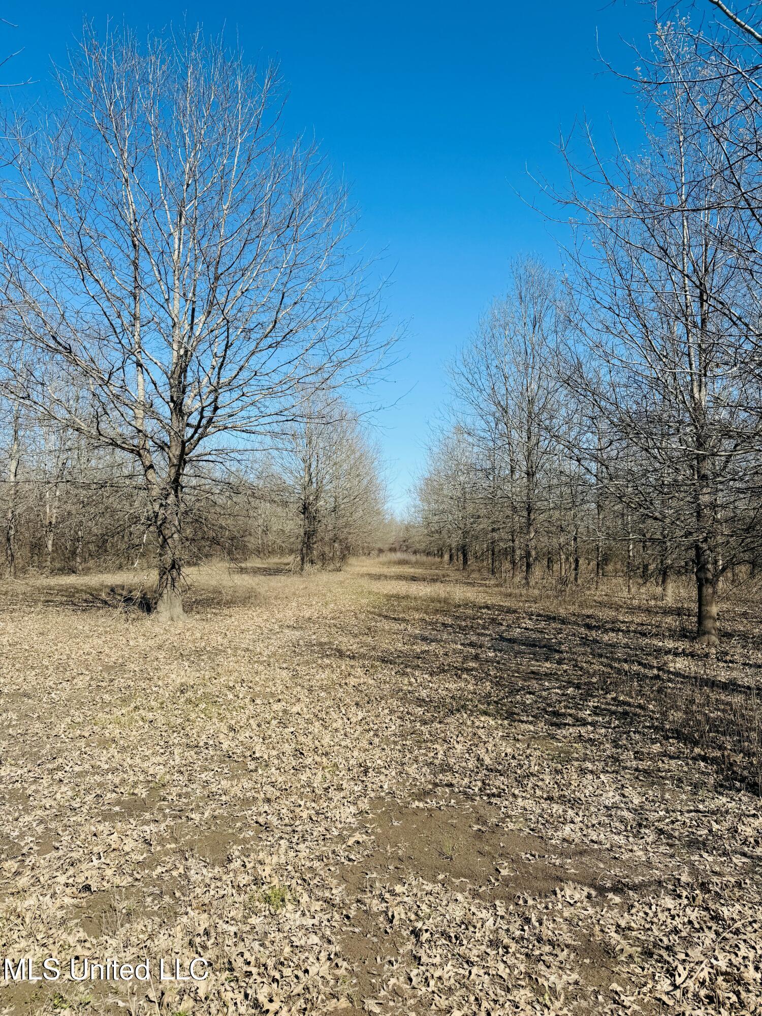 0 Priddy Road Property Photo 21