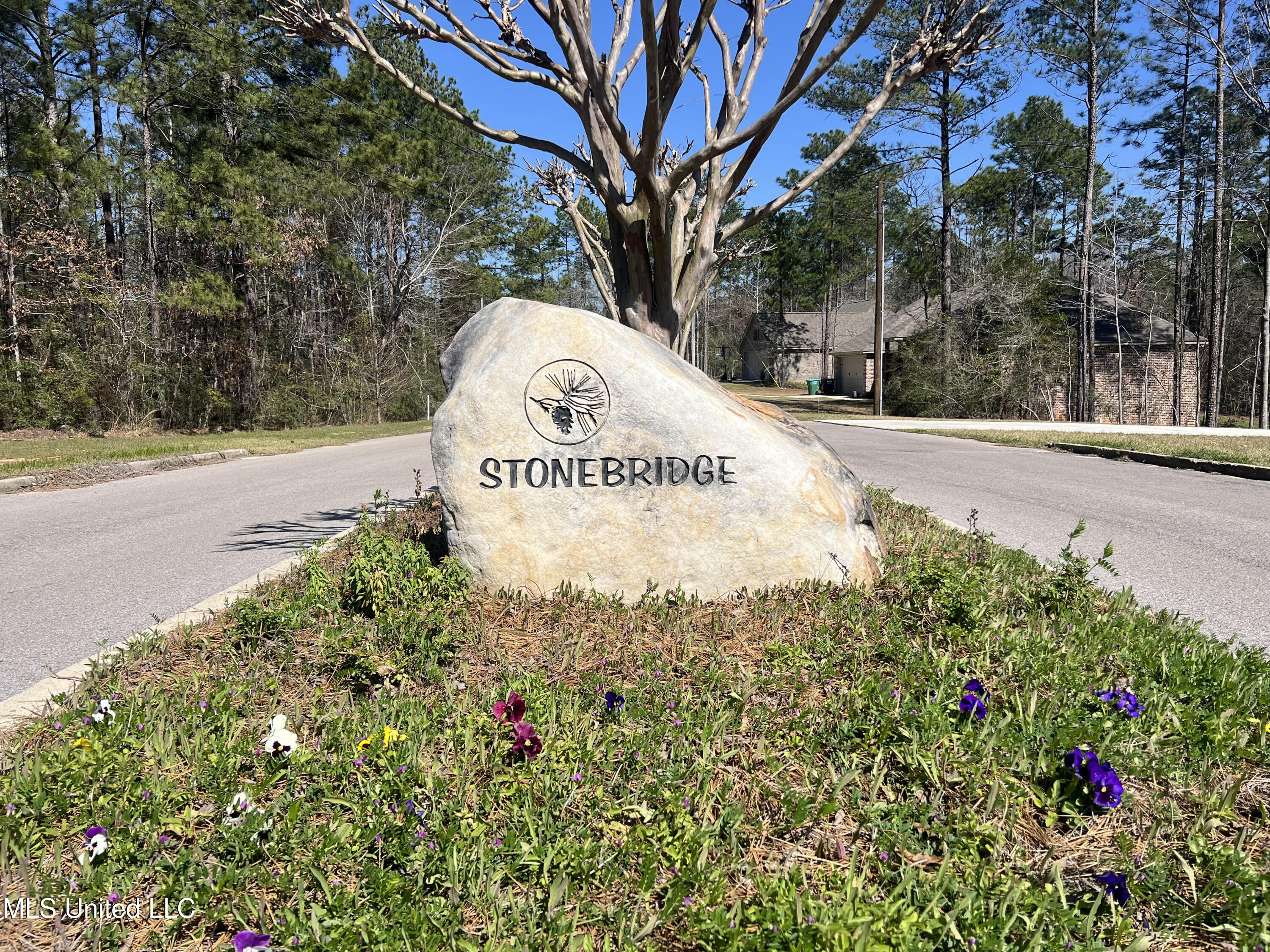 Lot 1 Flyntstone Property Photo 1