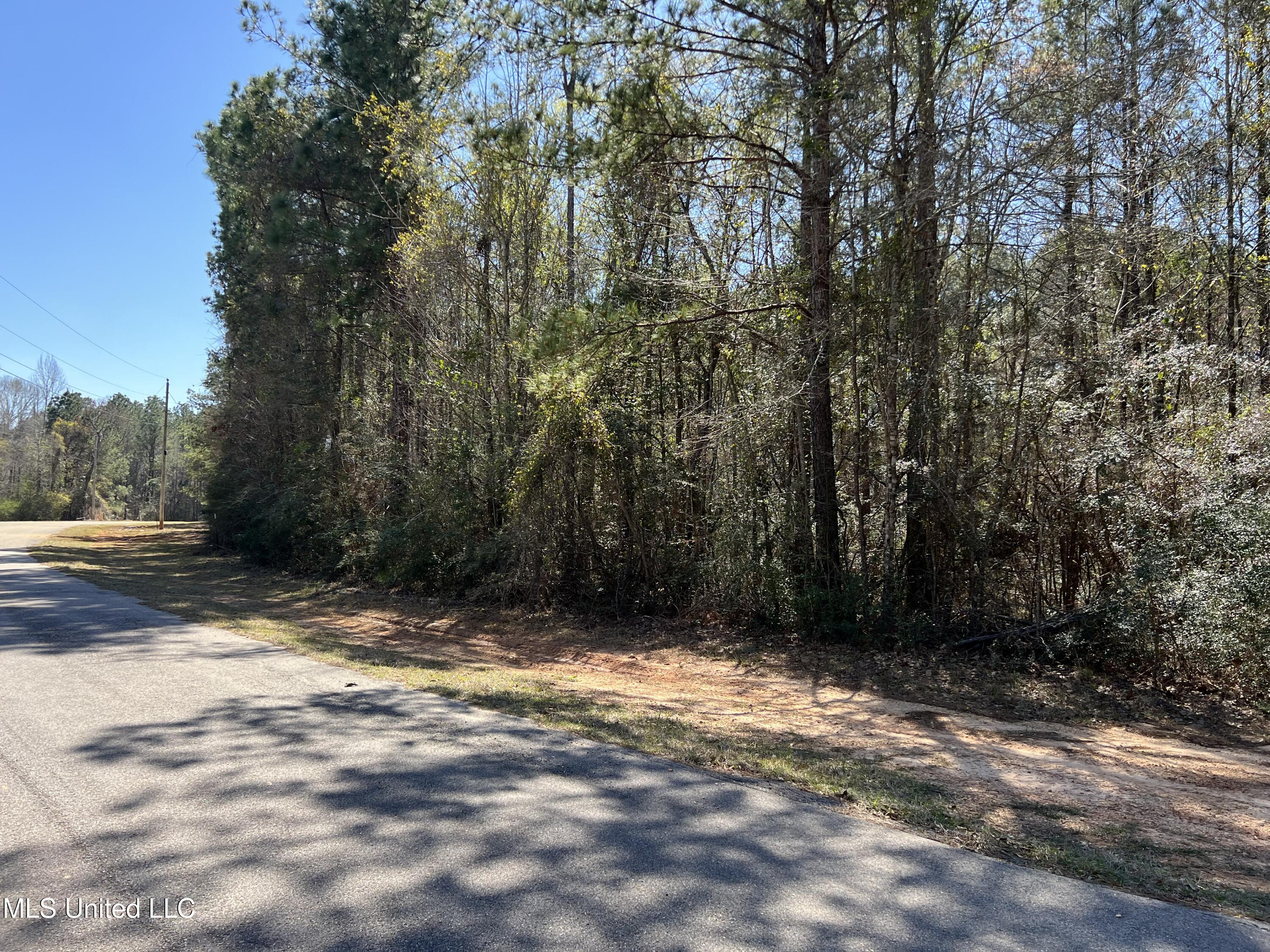 Lot 2 Flyntstone Property Photo 4