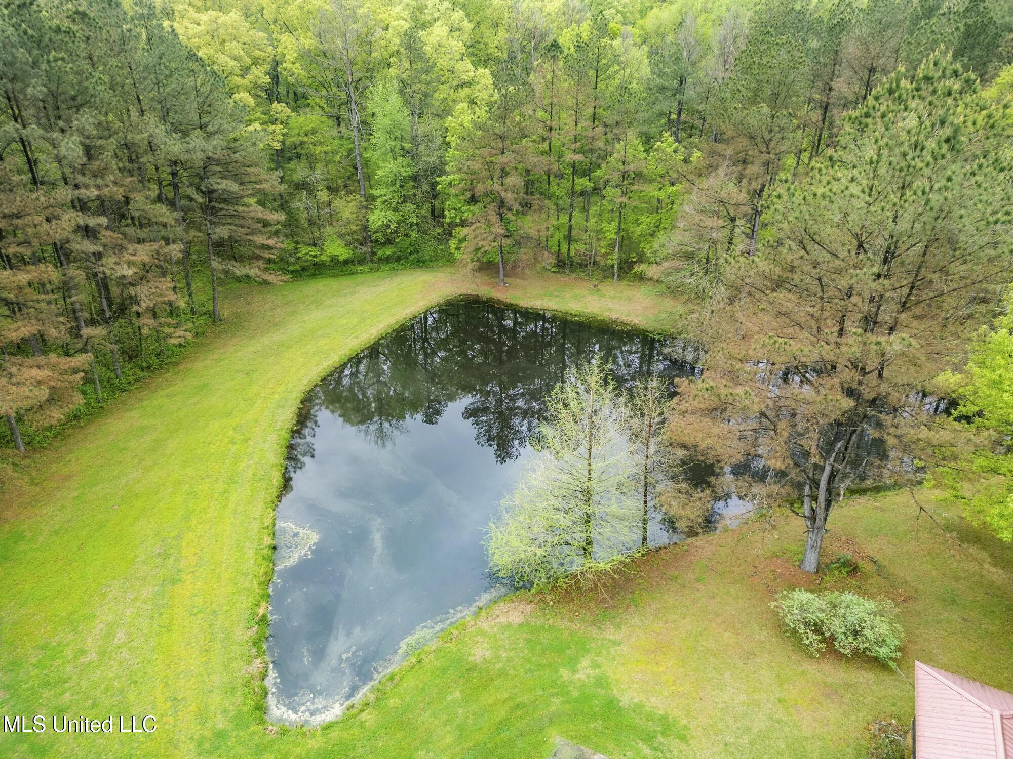137 Falcon Ridge Drive Property Photo 6
