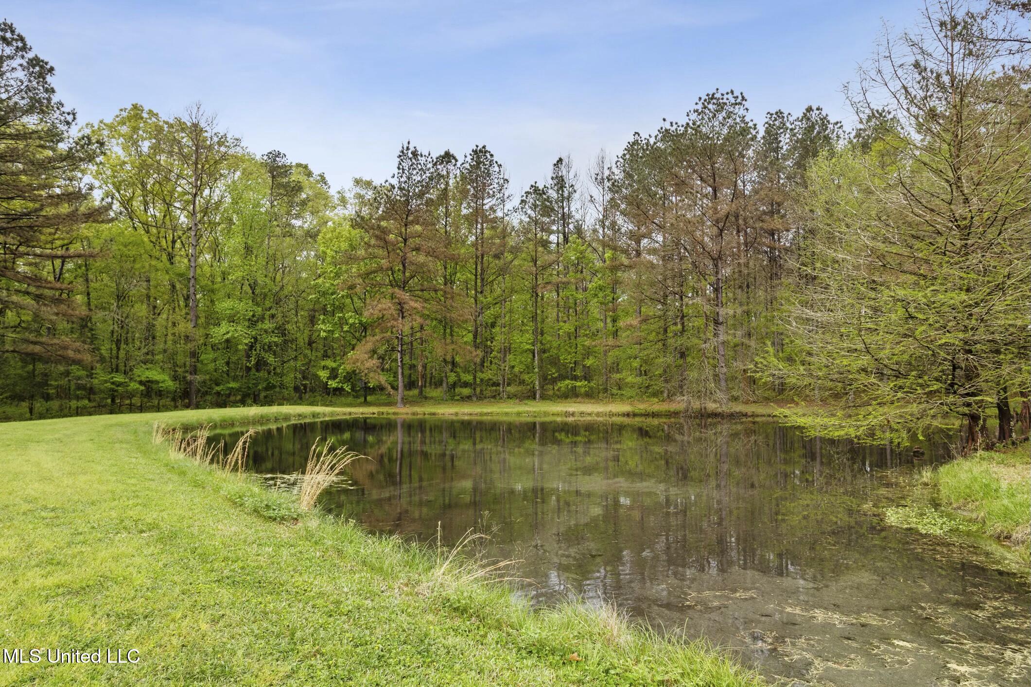 137 Falcon Ridge Drive Property Photo 35