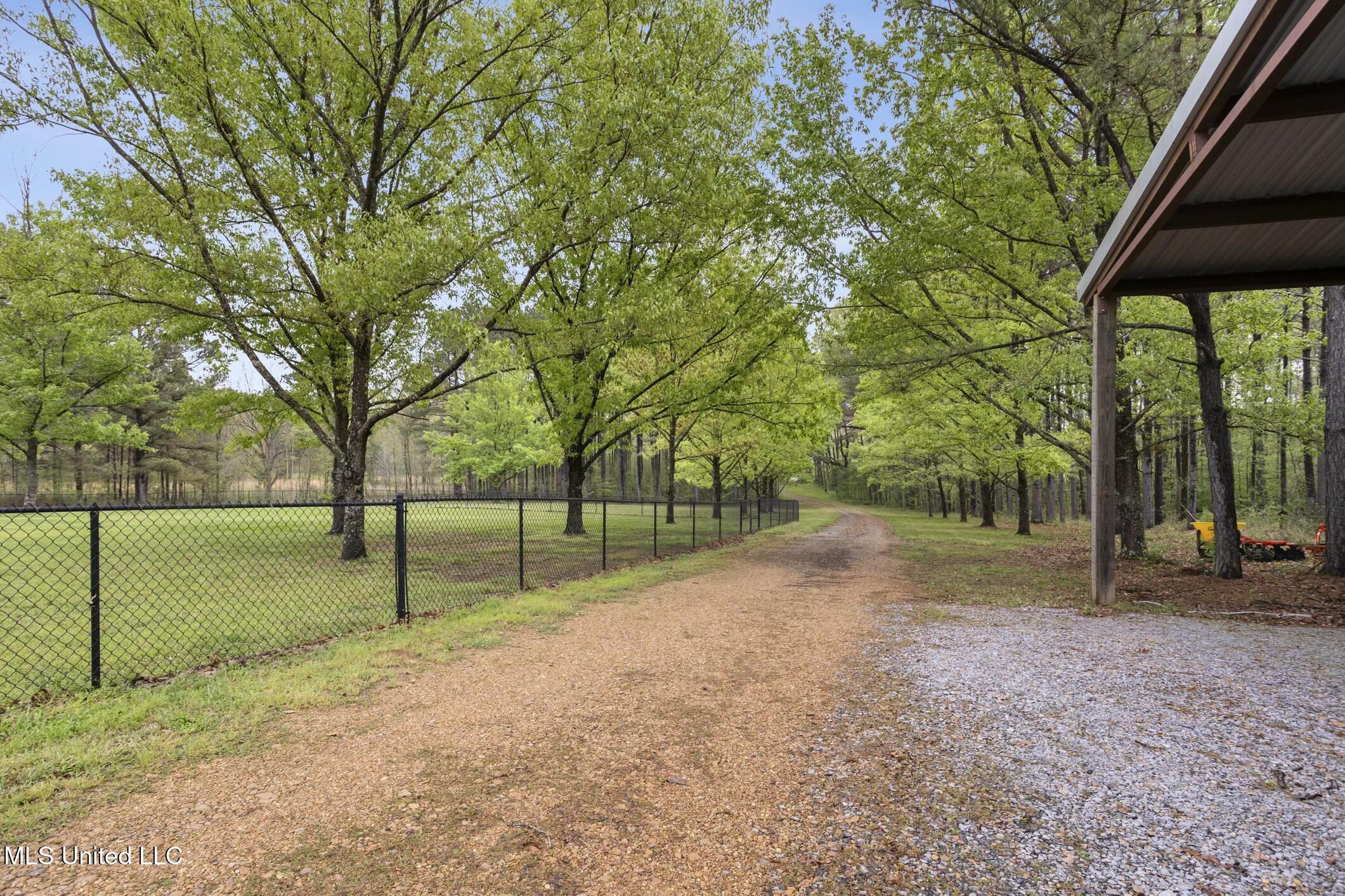 137 Falcon Ridge Drive Property Photo 40