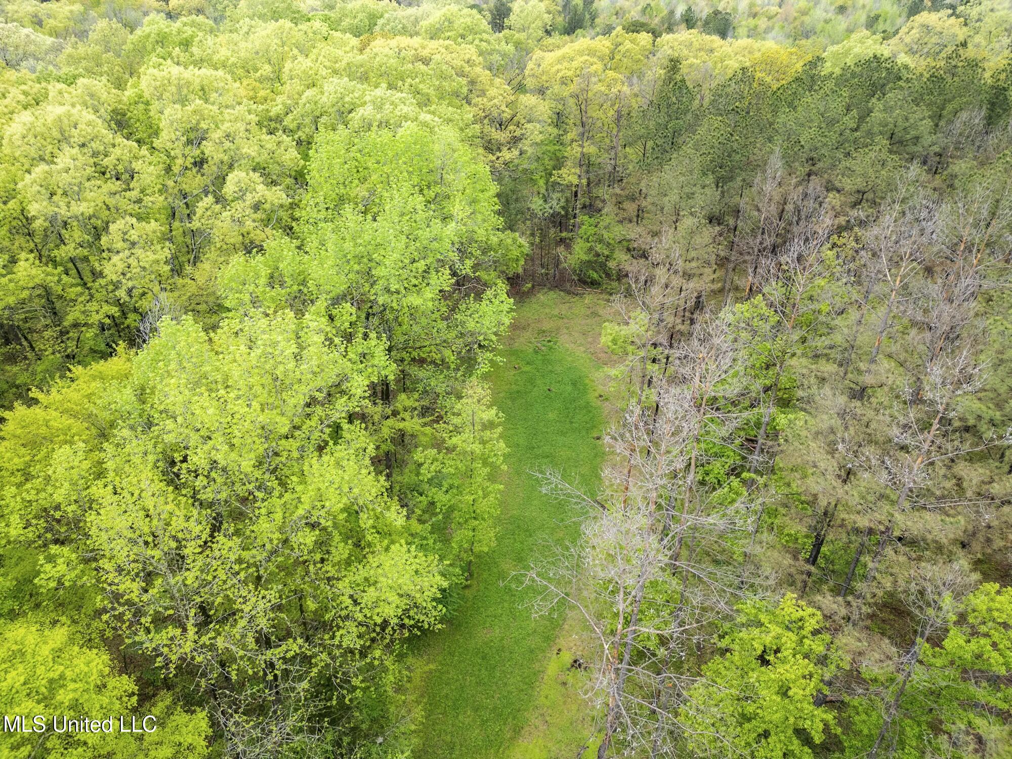 137 Falcon Ridge Drive Property Photo 43