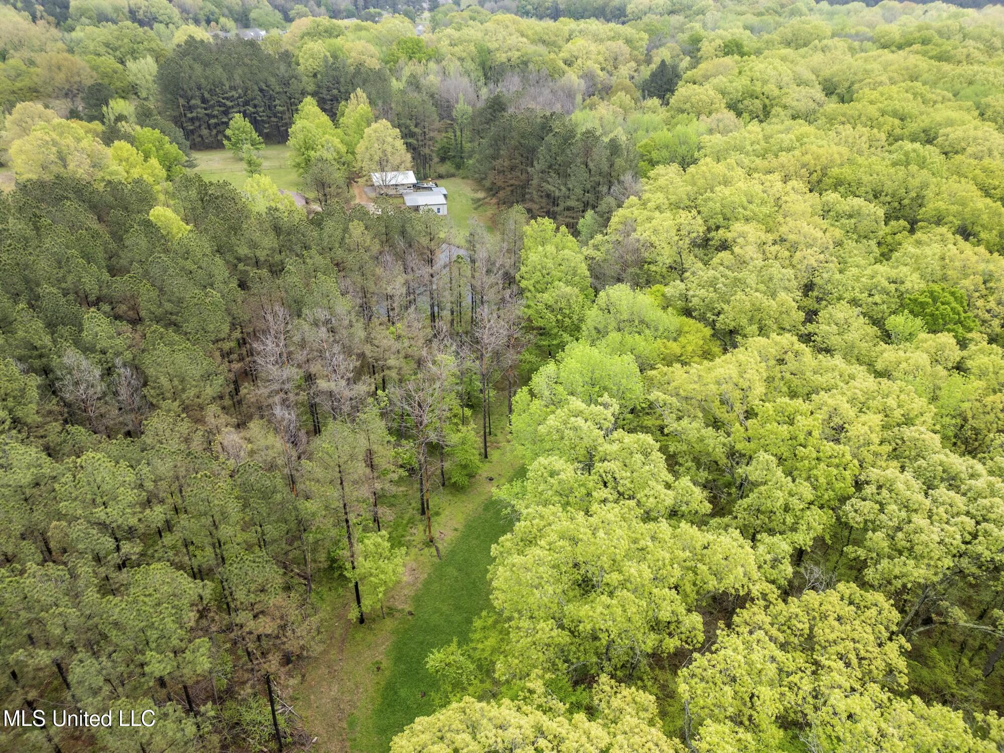 137 Falcon Ridge Drive Property Photo 45