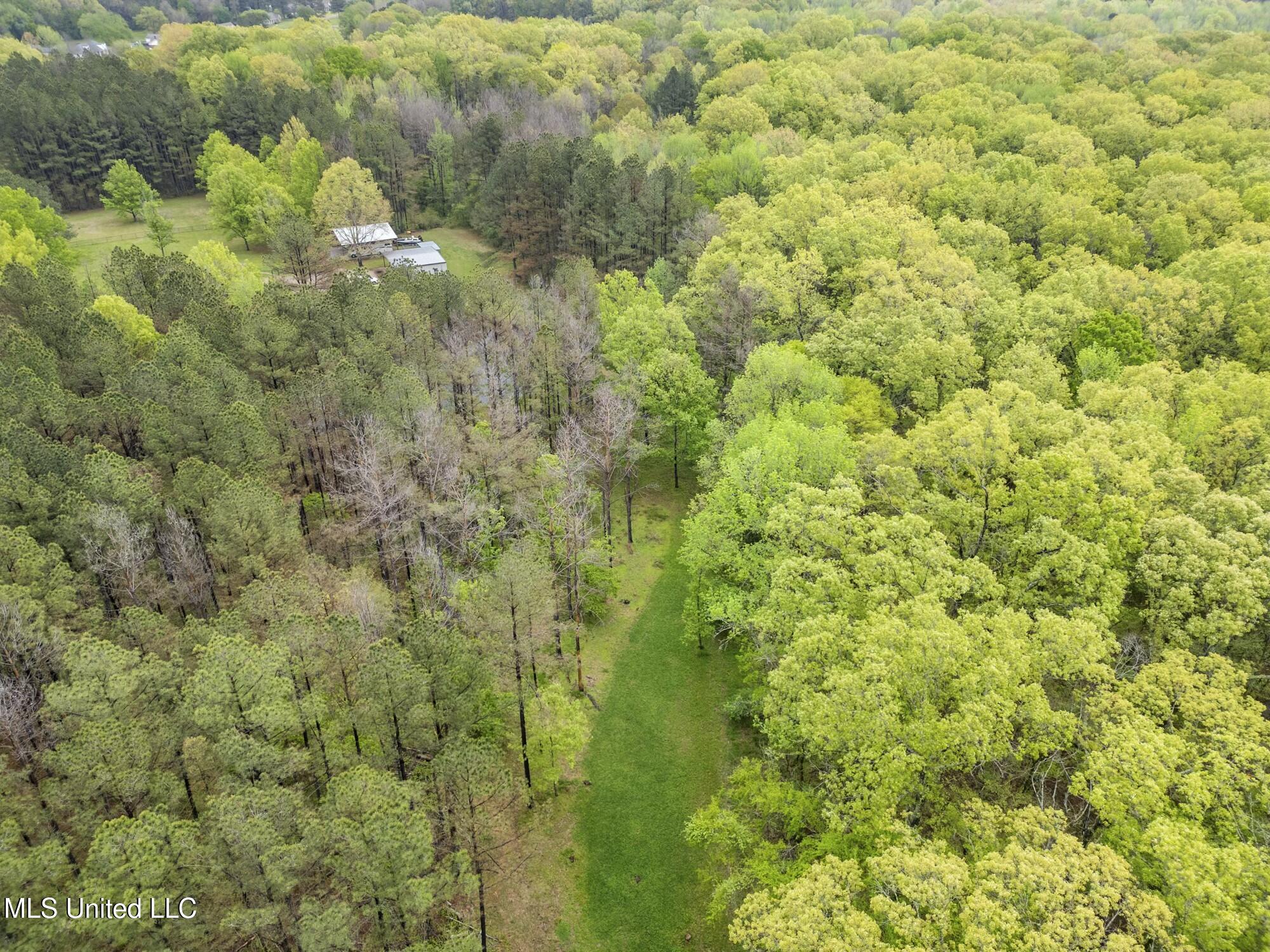 137 Falcon Ridge Drive Property Photo 46