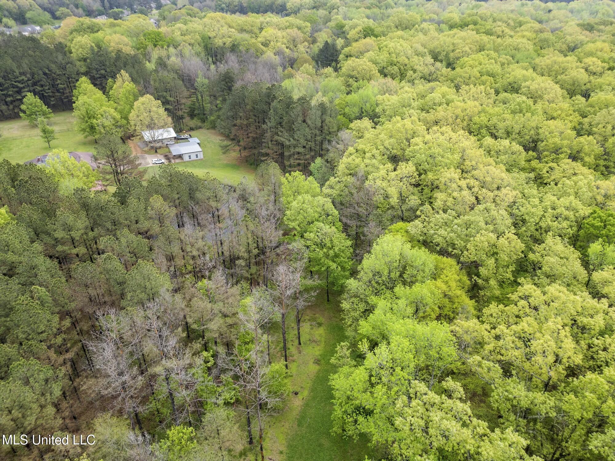 137 Falcon Ridge Drive Property Photo 47