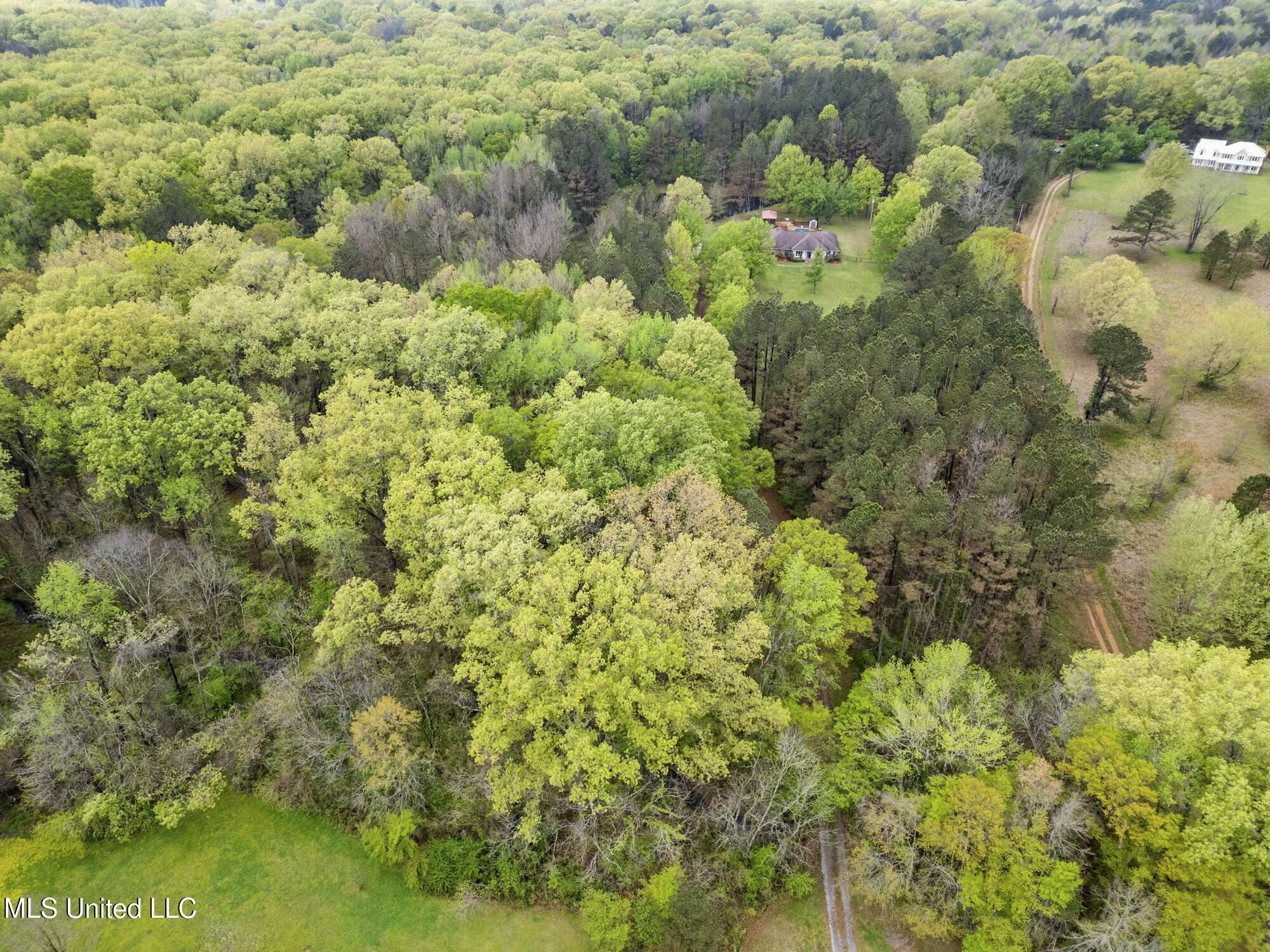 137 Falcon Ridge Drive Property Photo 51