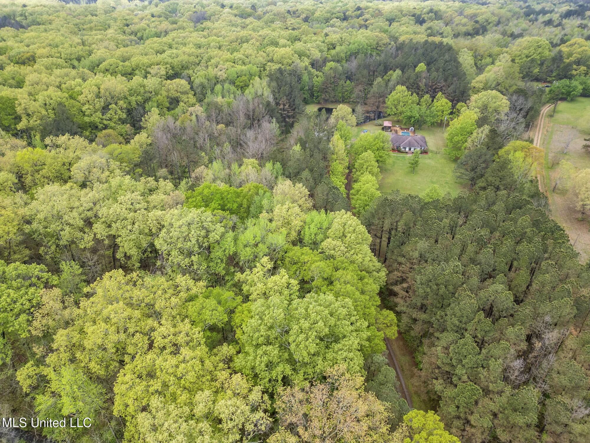 137 Falcon Ridge Drive Property Photo 52