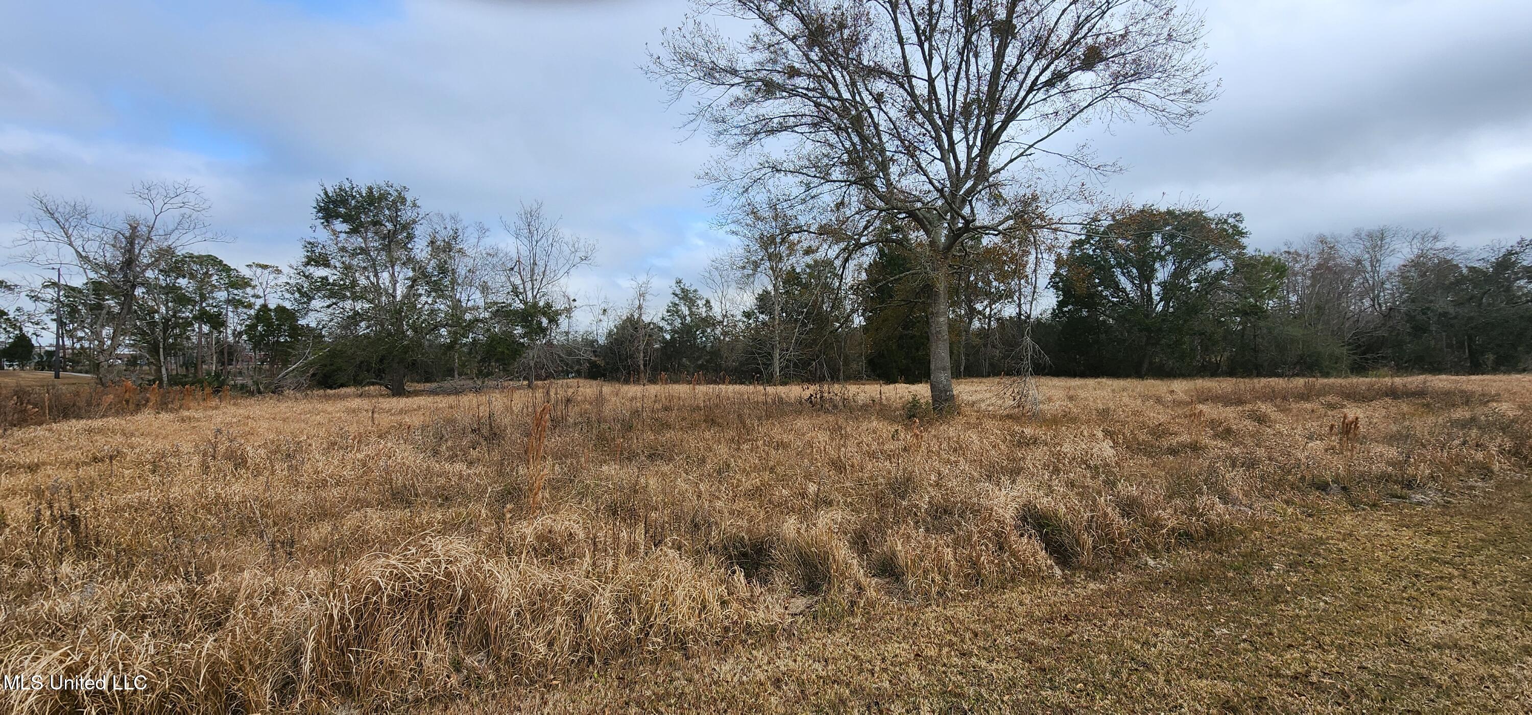 4548 Magnolia Street Property Photo 2
