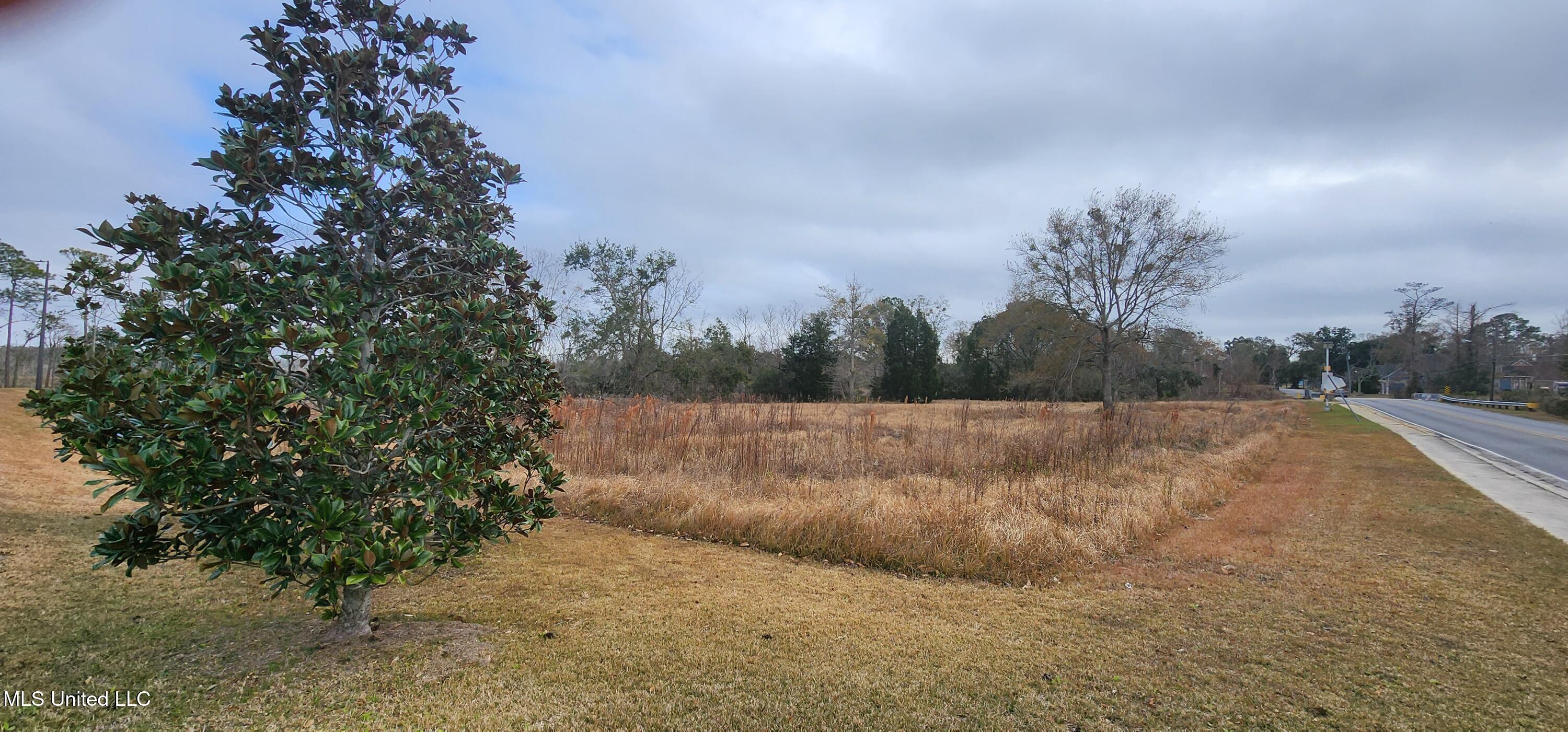 4548 Magnolia Street Property Photo 8
