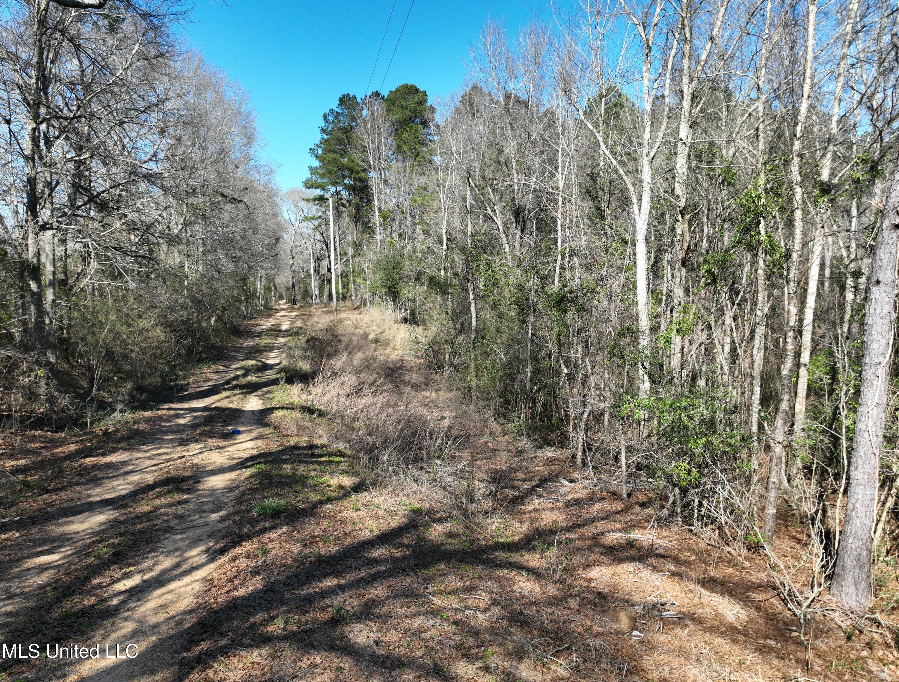 57 Benjamin Lane Property Photo 12