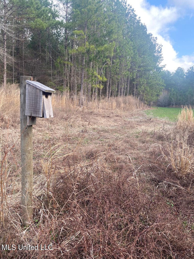Woodson Lane Property Photo 13