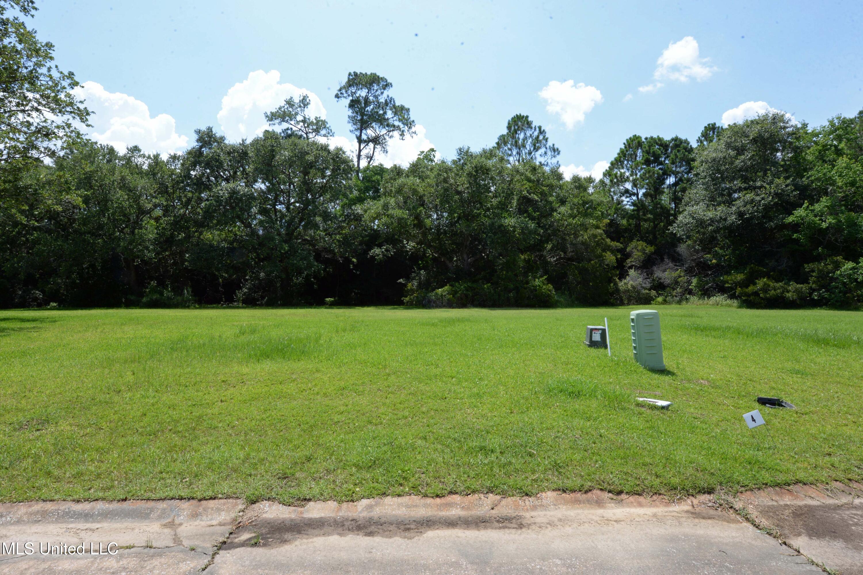 Lot 3 Mallard Court Property Photo 10