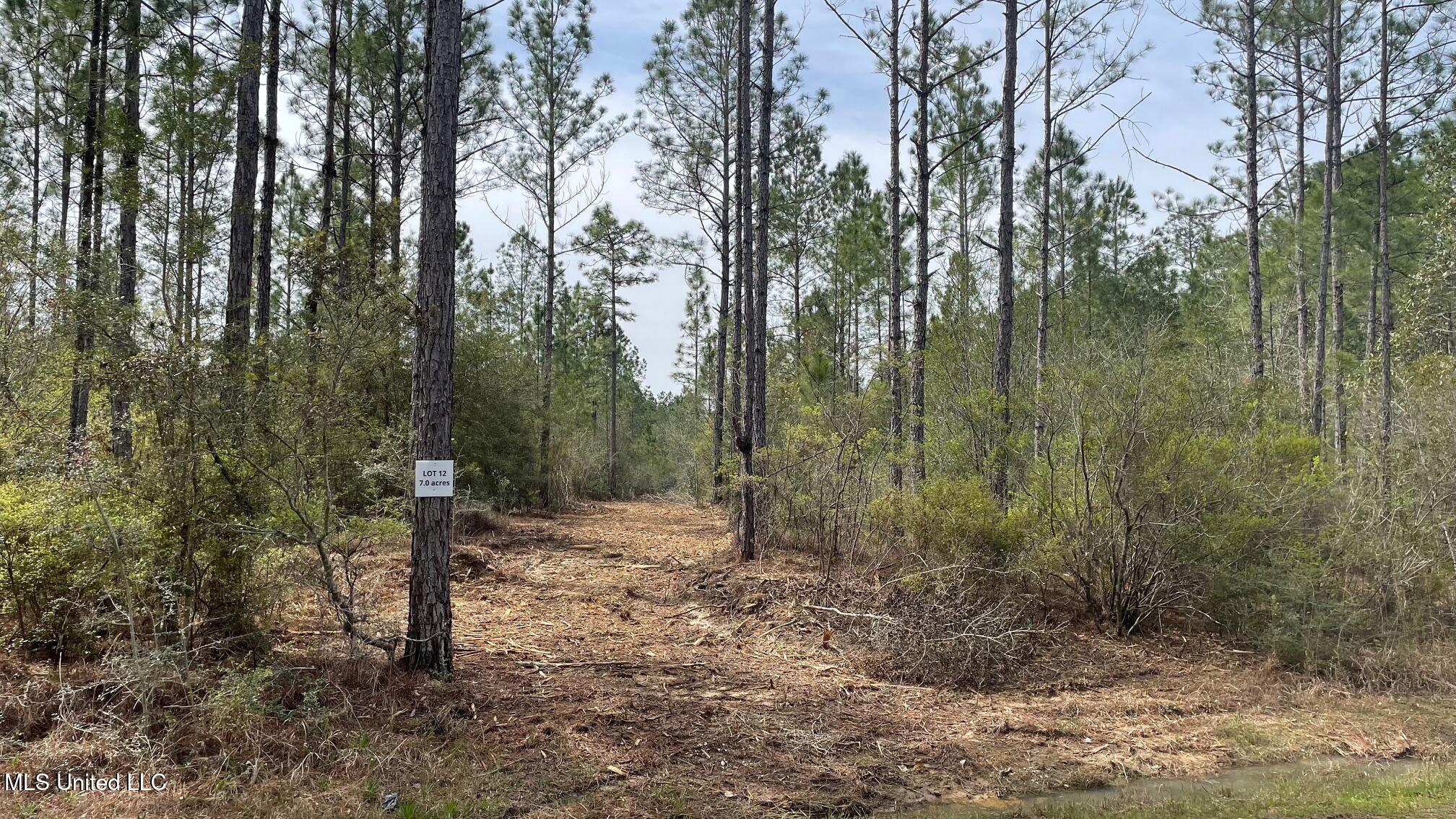Herman Ladner Road Property Photo 1