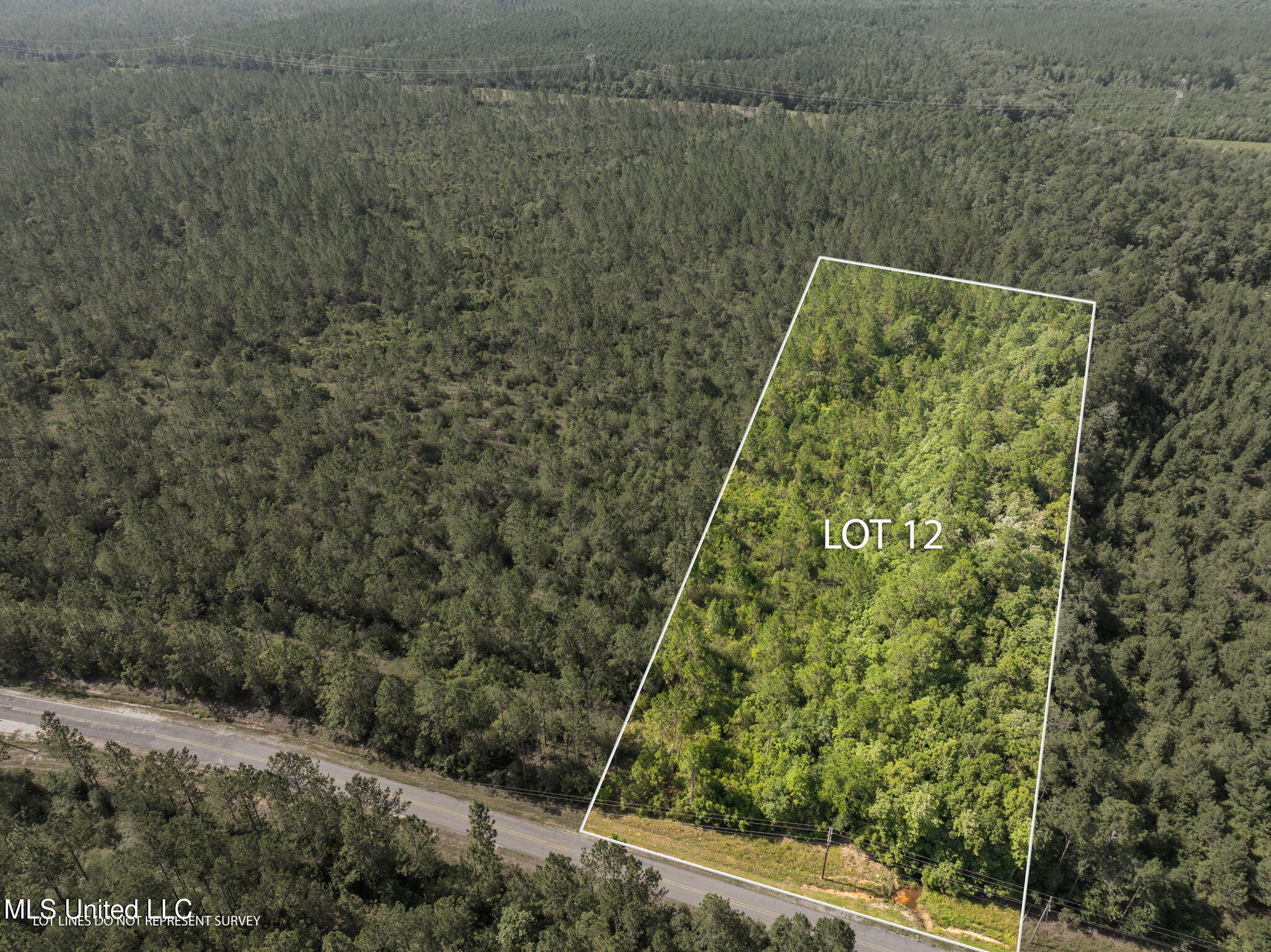 Herman Ladner Road Property Photo 2