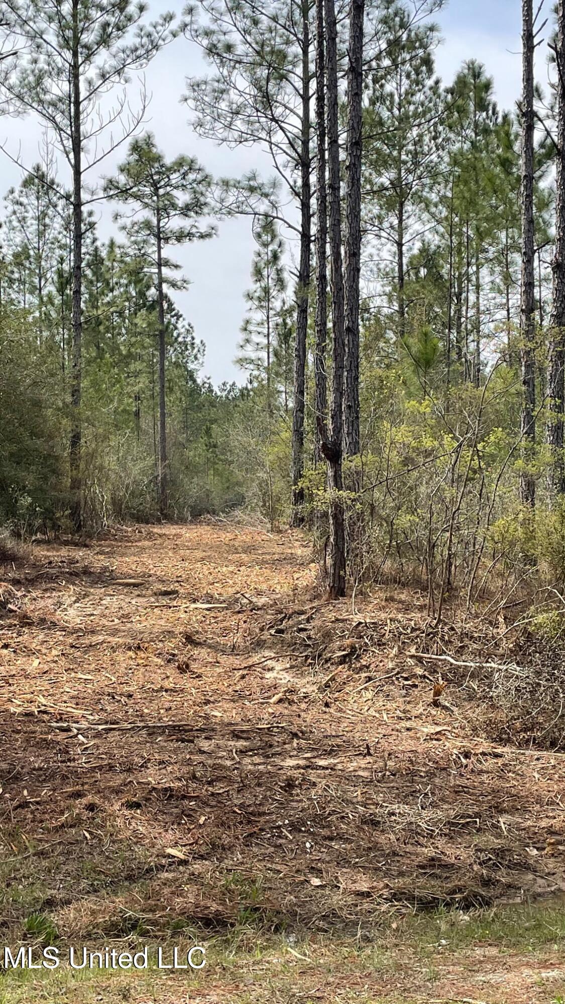 Herman Ladner Road Property Photo 4