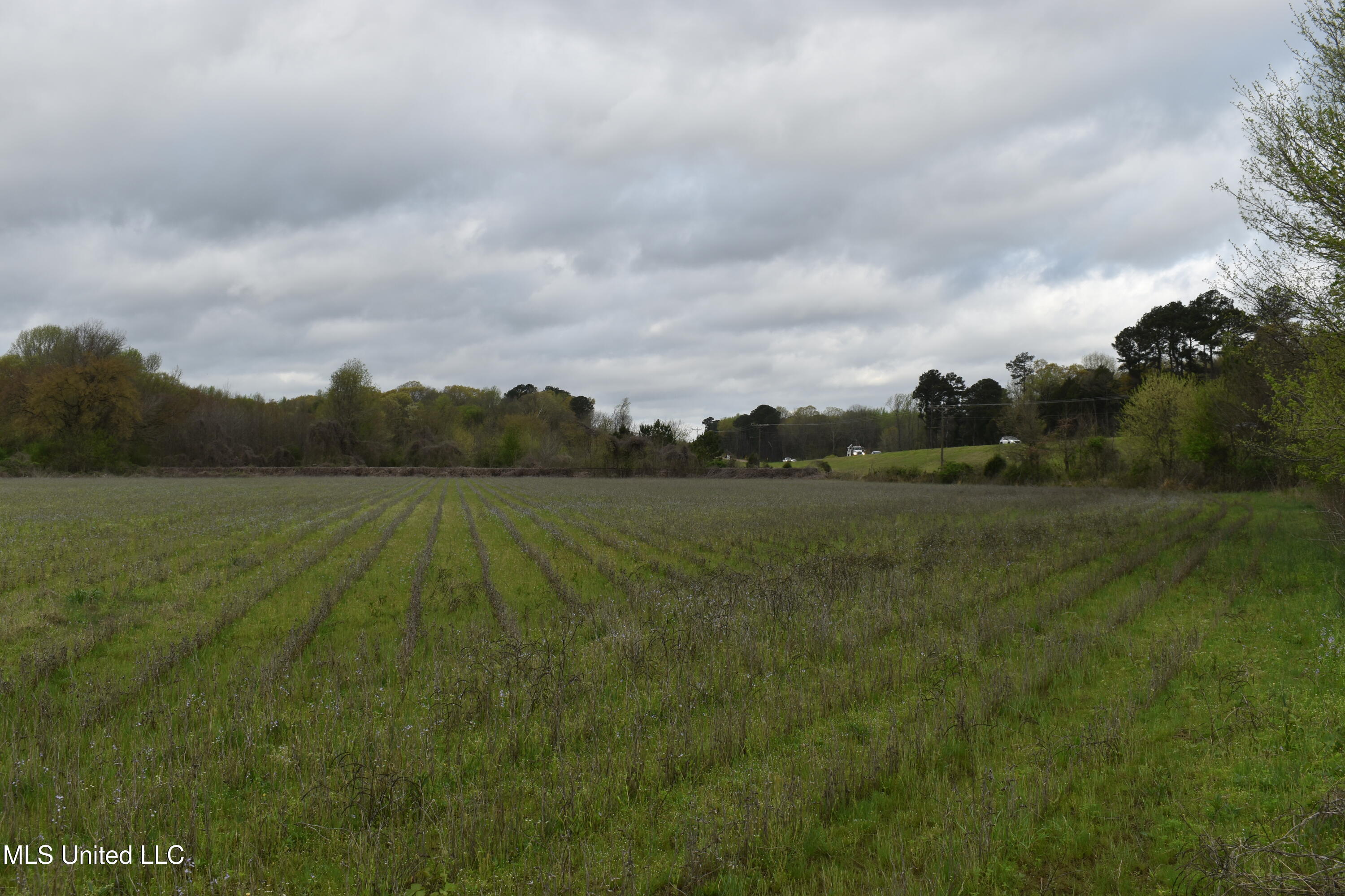 0 Hwy 278 Property Photo 3