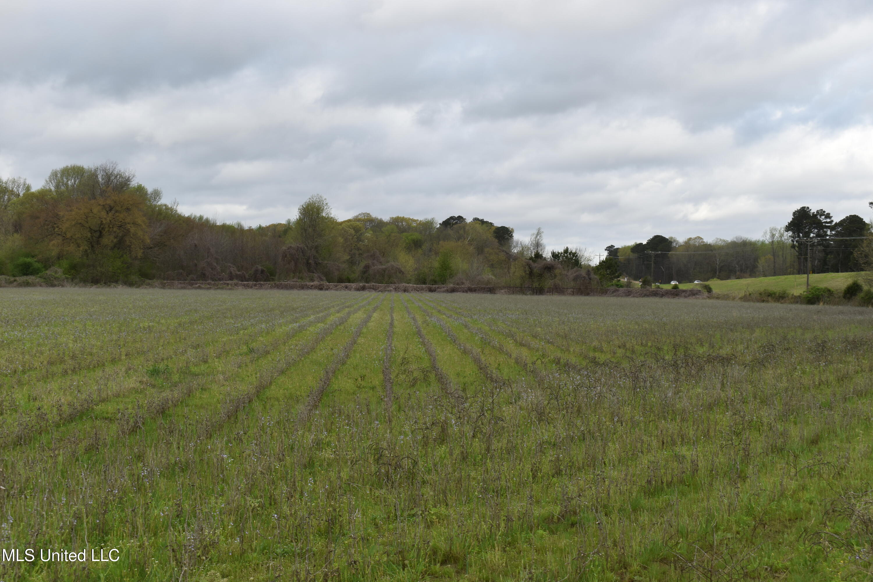 0 Hwy 278 Property Photo 4