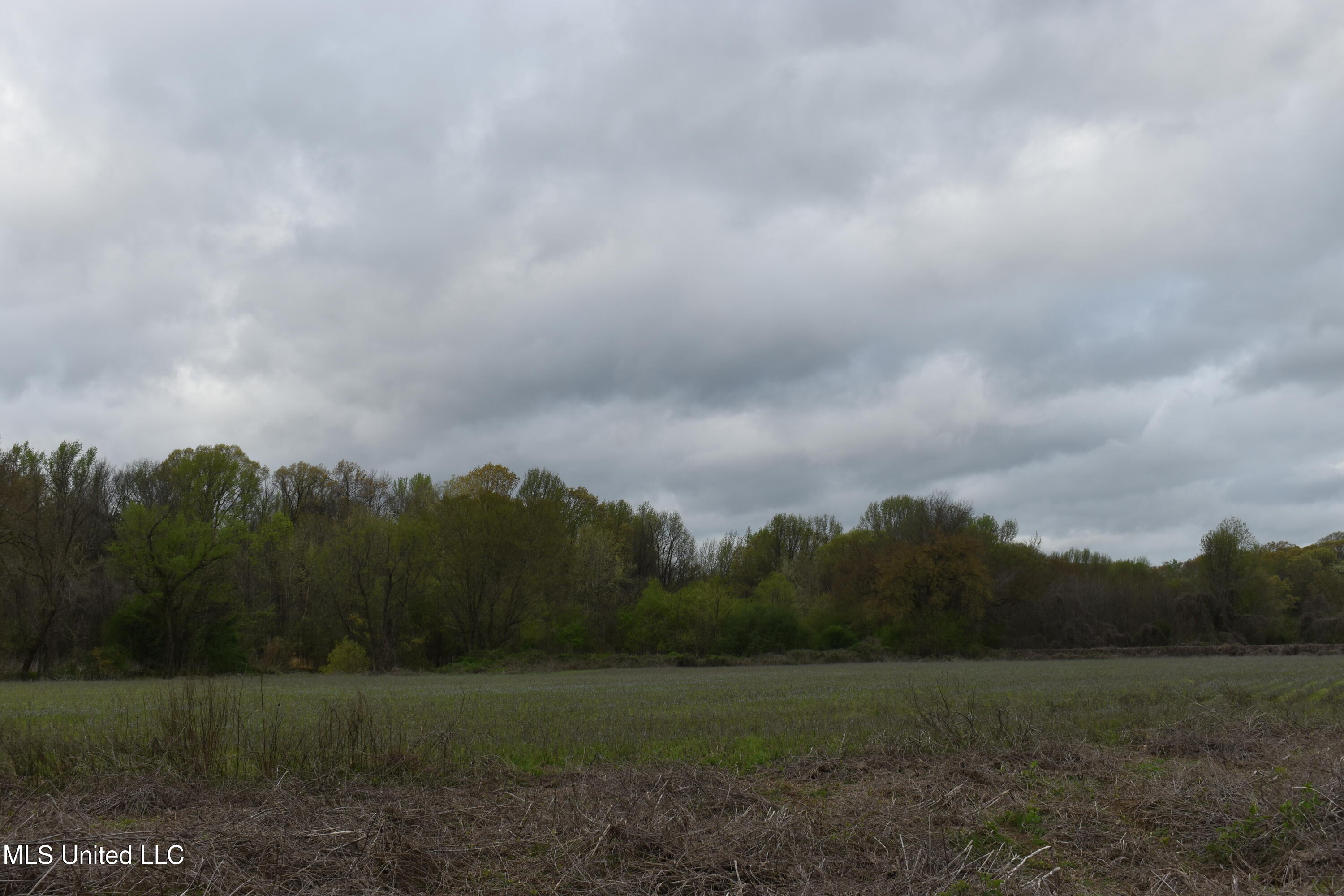 0 Hwy 278 Property Photo 5