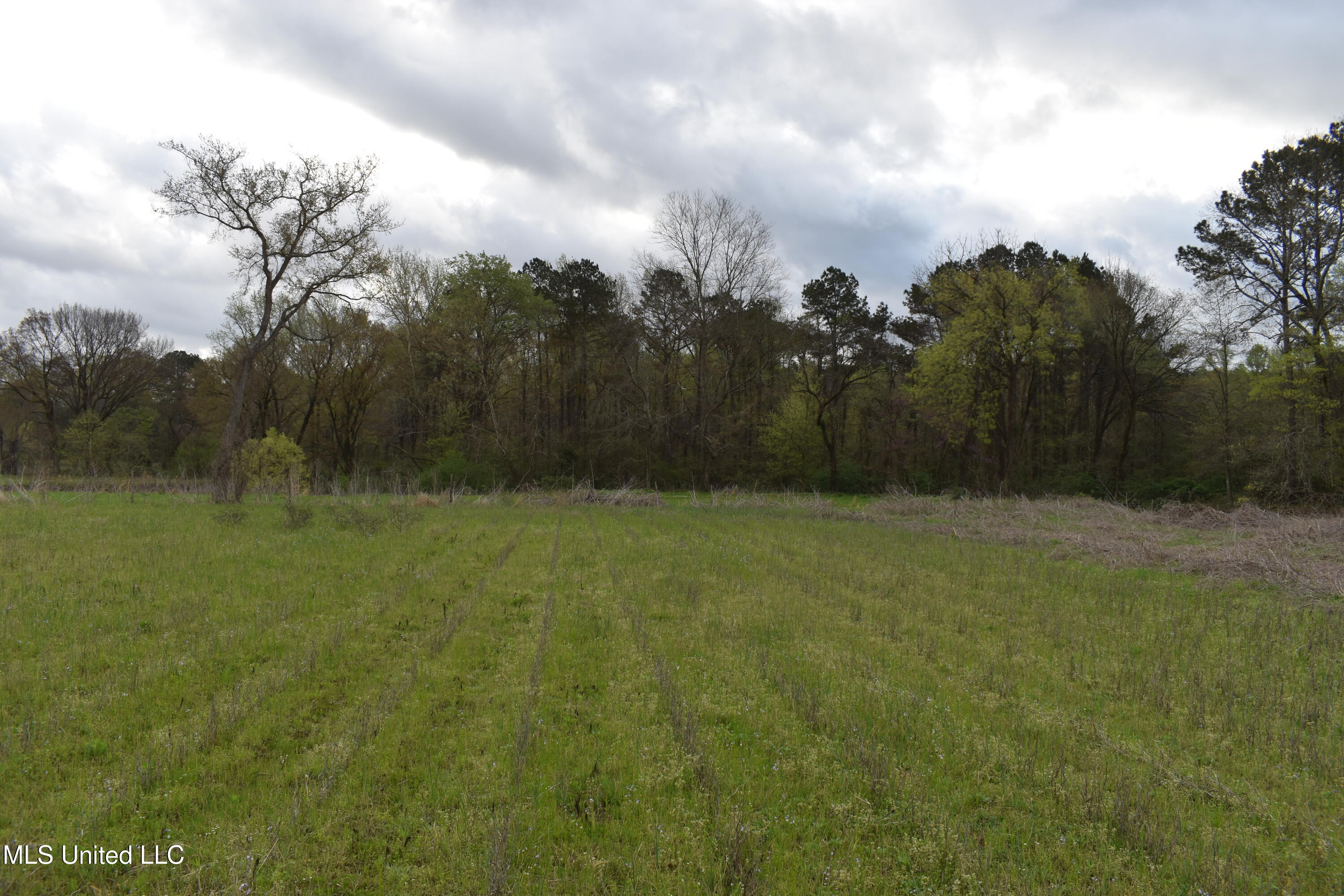 0 Hwy 278 Property Photo 8
