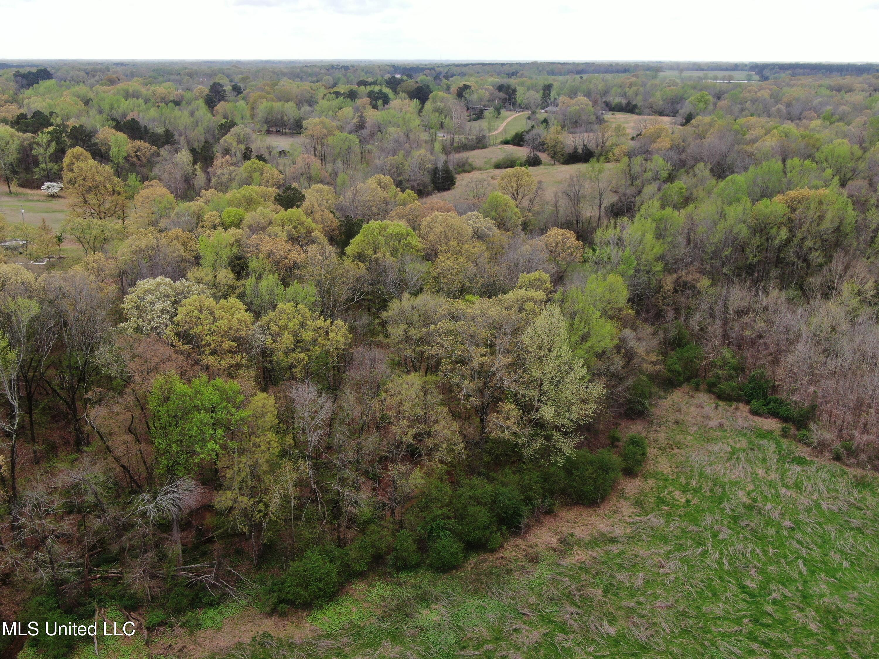 0 Hwy 278 Property Photo 12