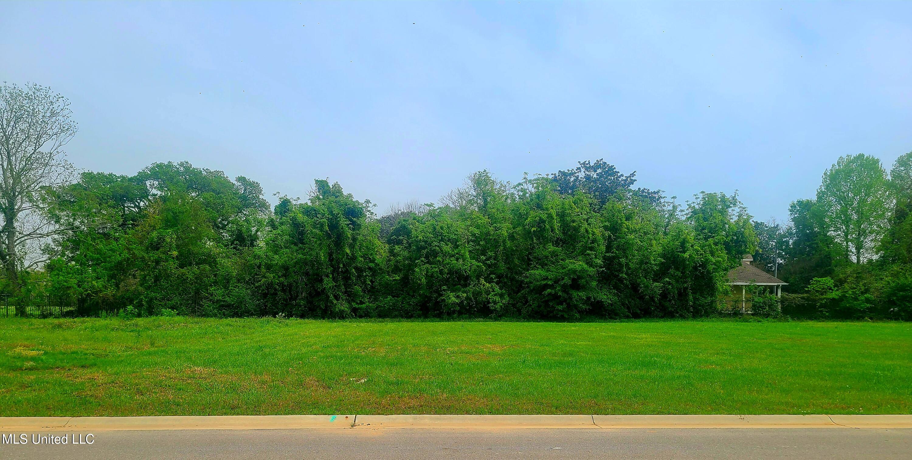 Lot 5 Seaside Oaks Drive Property Photo 1