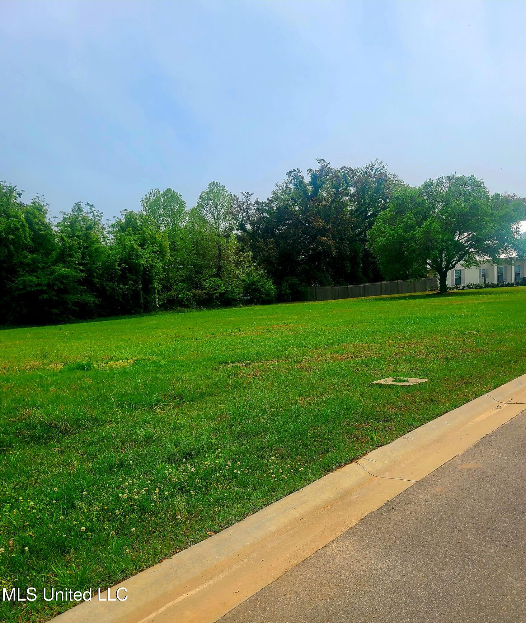Lot 5 Seaside Oaks Drive Property Photo 2