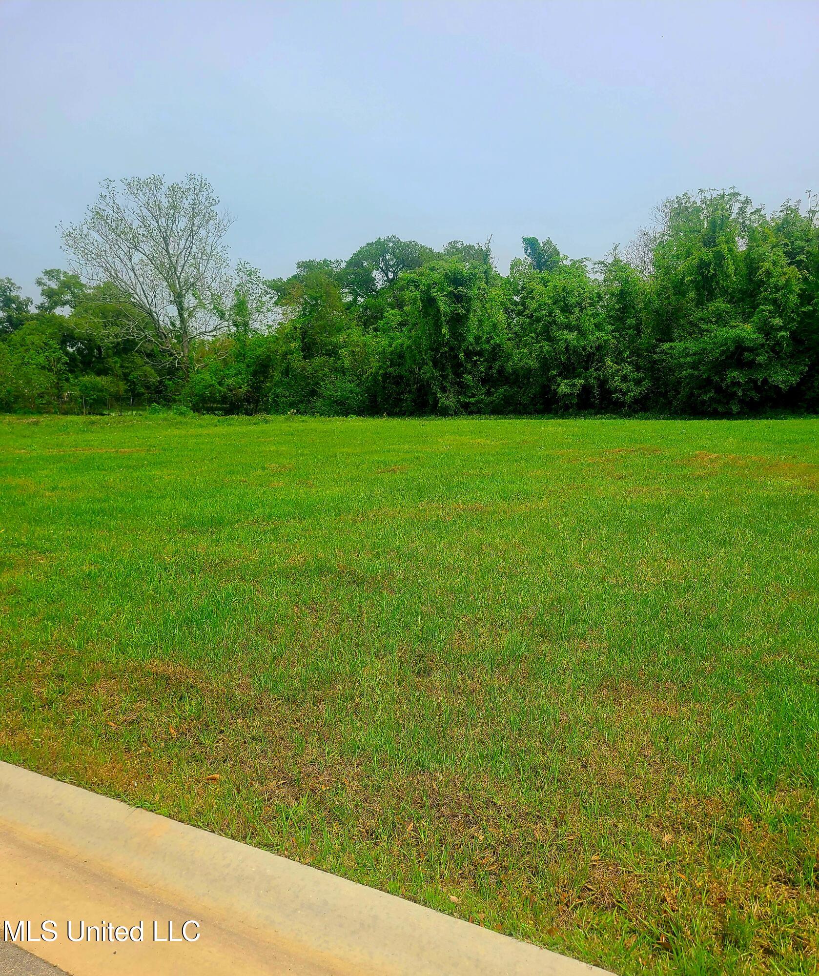 Lot 5 Seaside Oaks Drive Property Photo 3