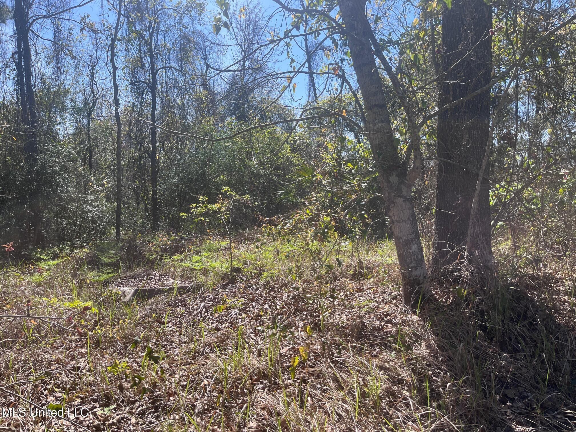 Lot 19 Seacliff Boulevard Property Photo 1