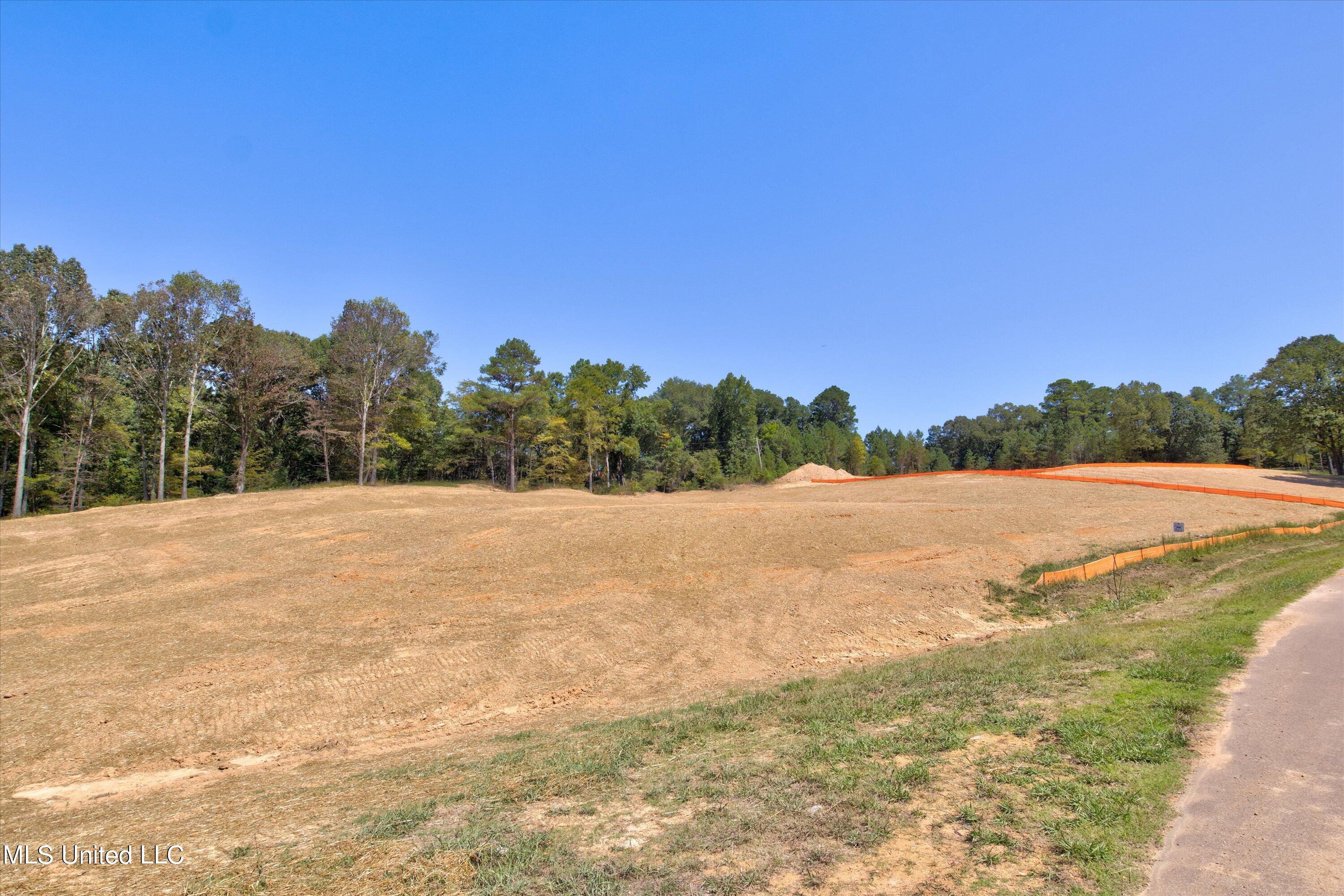 2742 Plank Road Property Photo 4