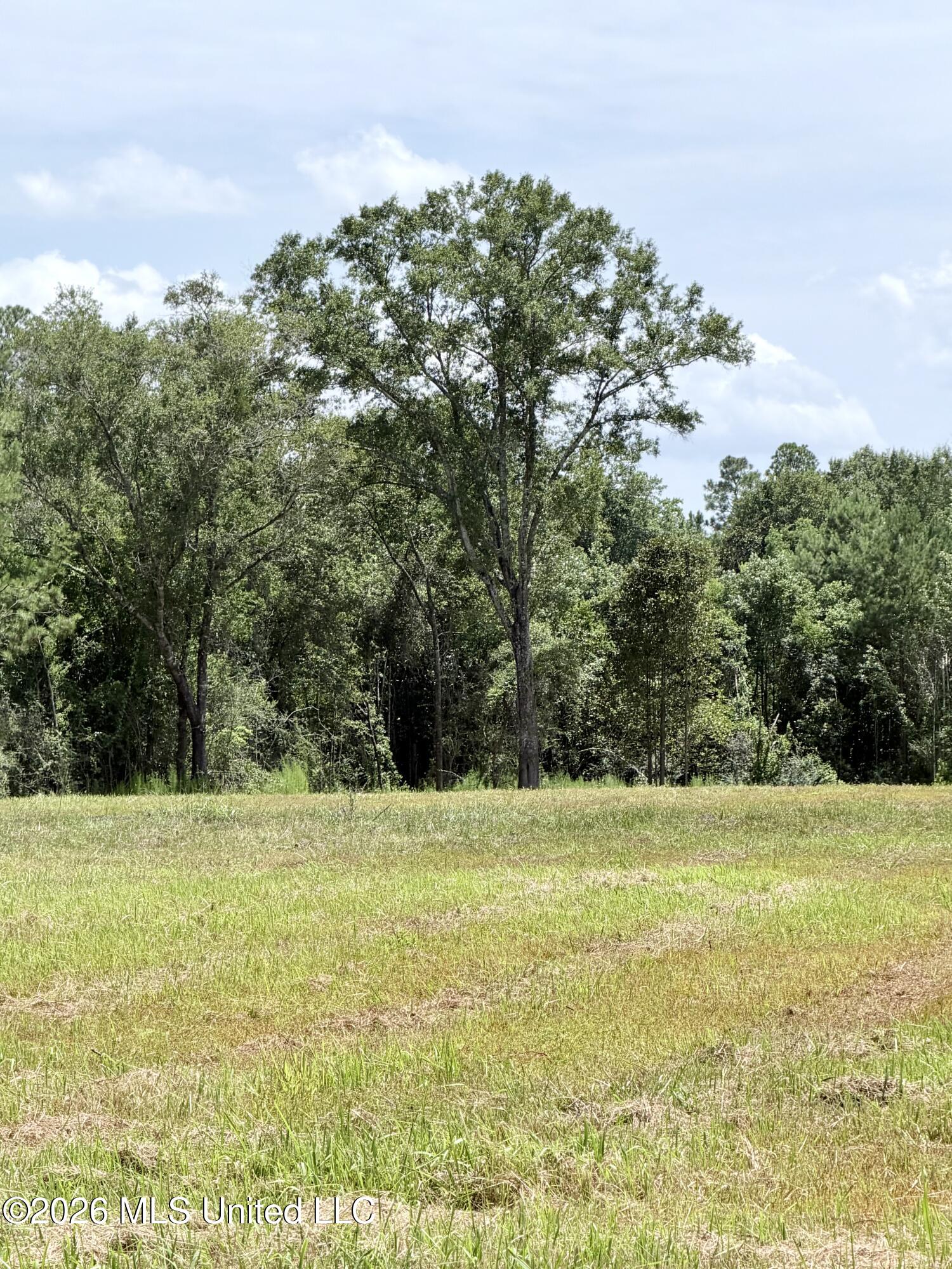 Hwy 613 Property Photo 3