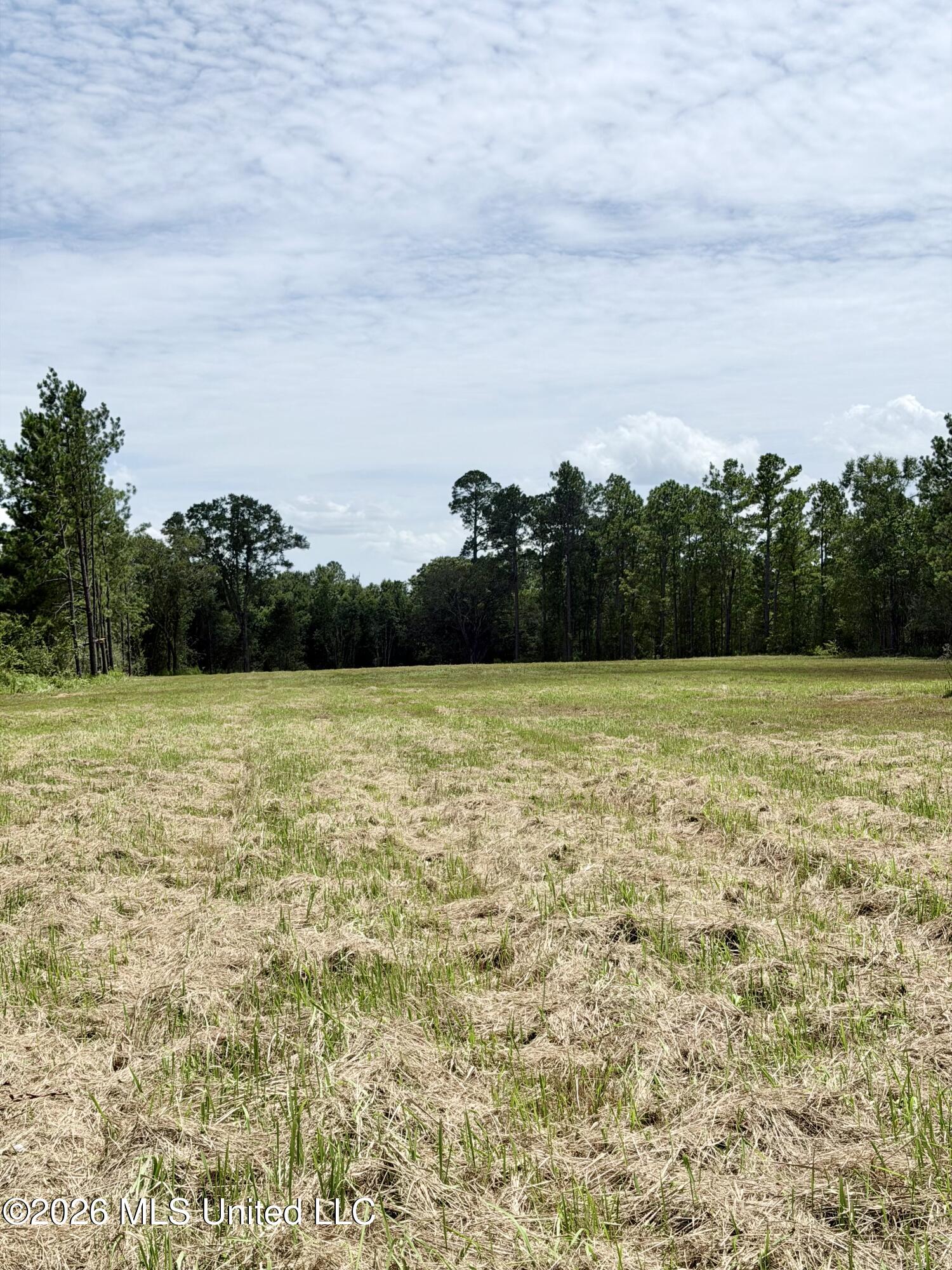 Hwy 613 Property Photo 4