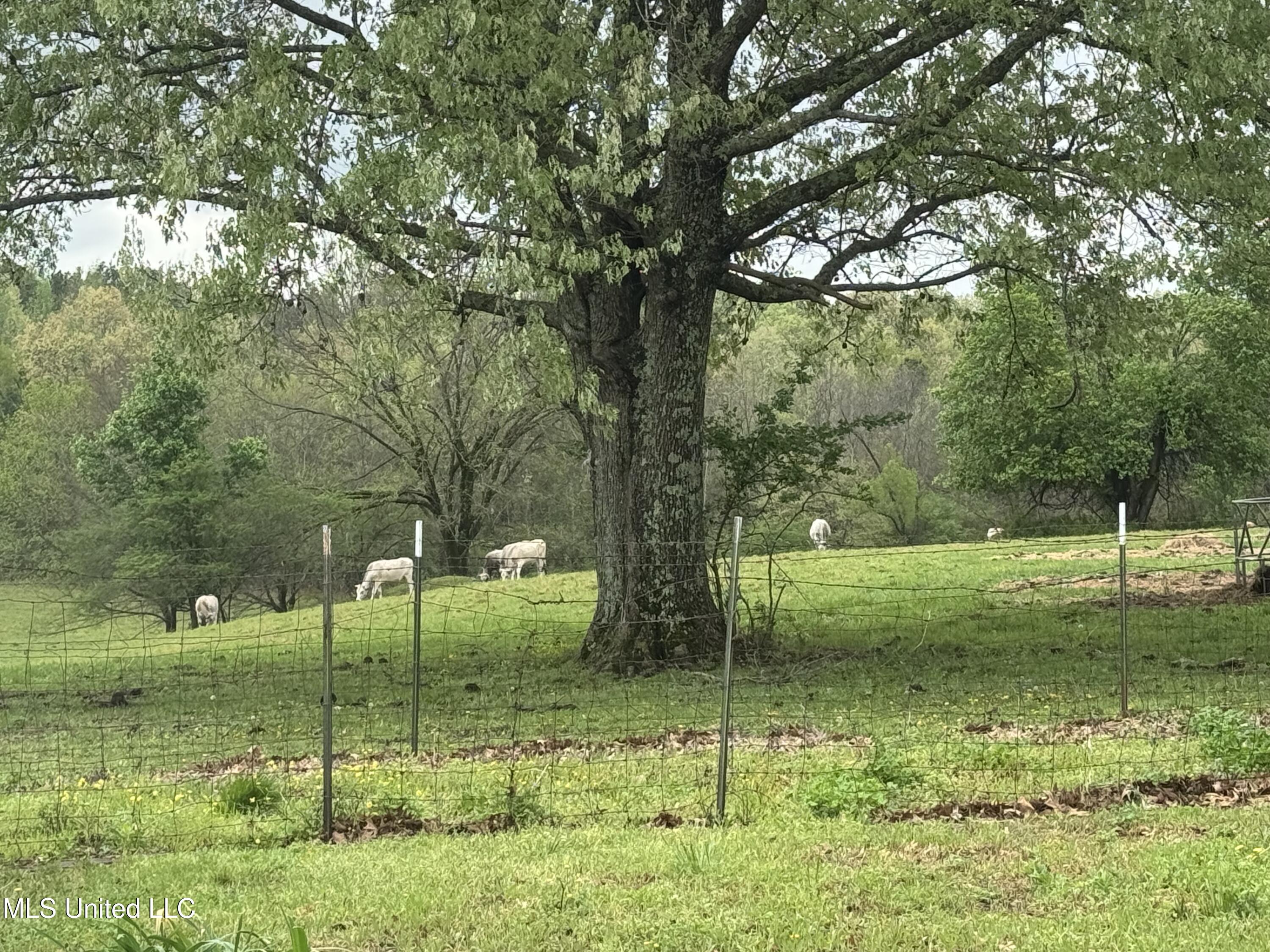 1201 Wheeler Road Property Photo 40