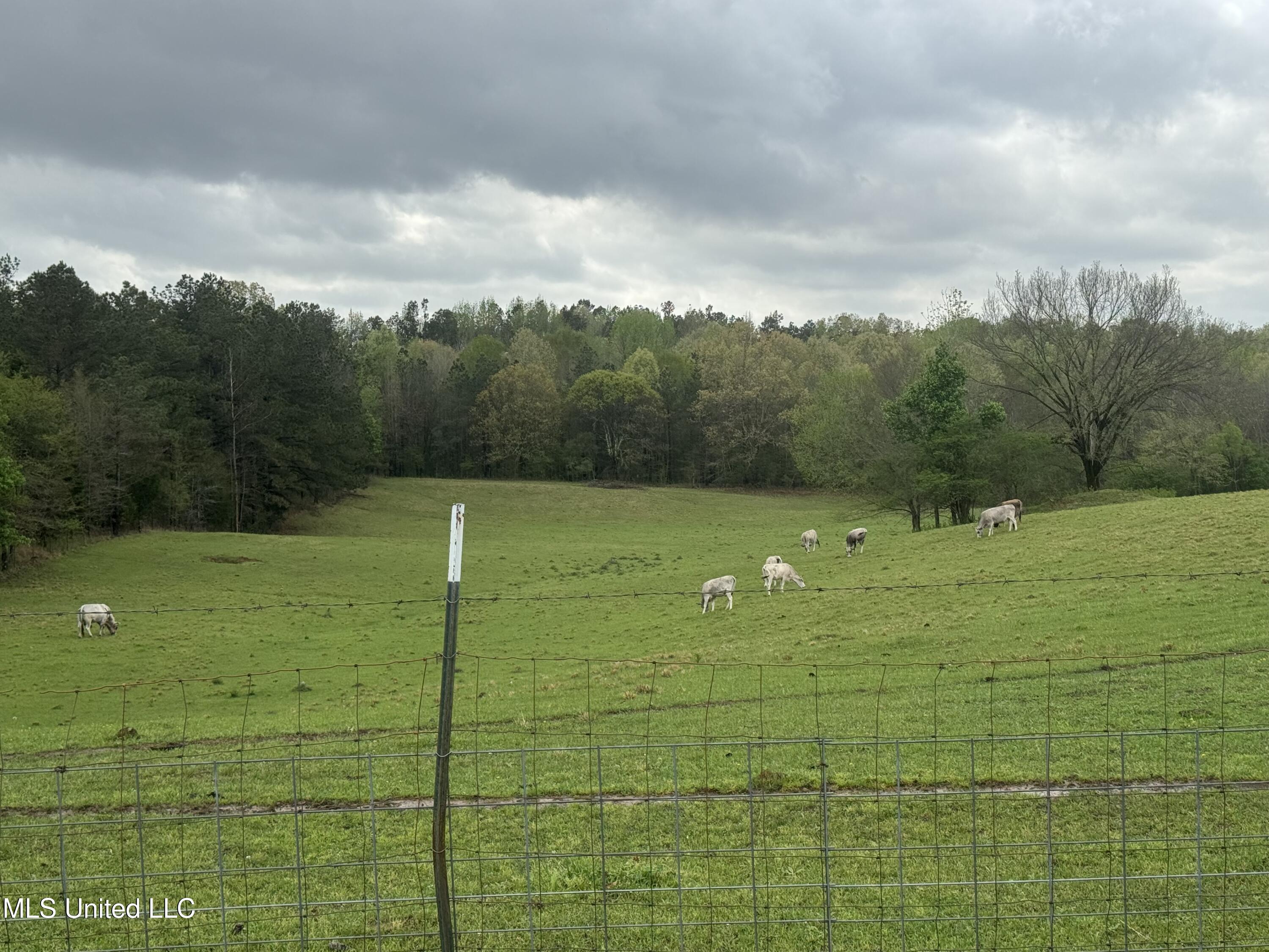 1201 Wheeler Road Property Photo 46