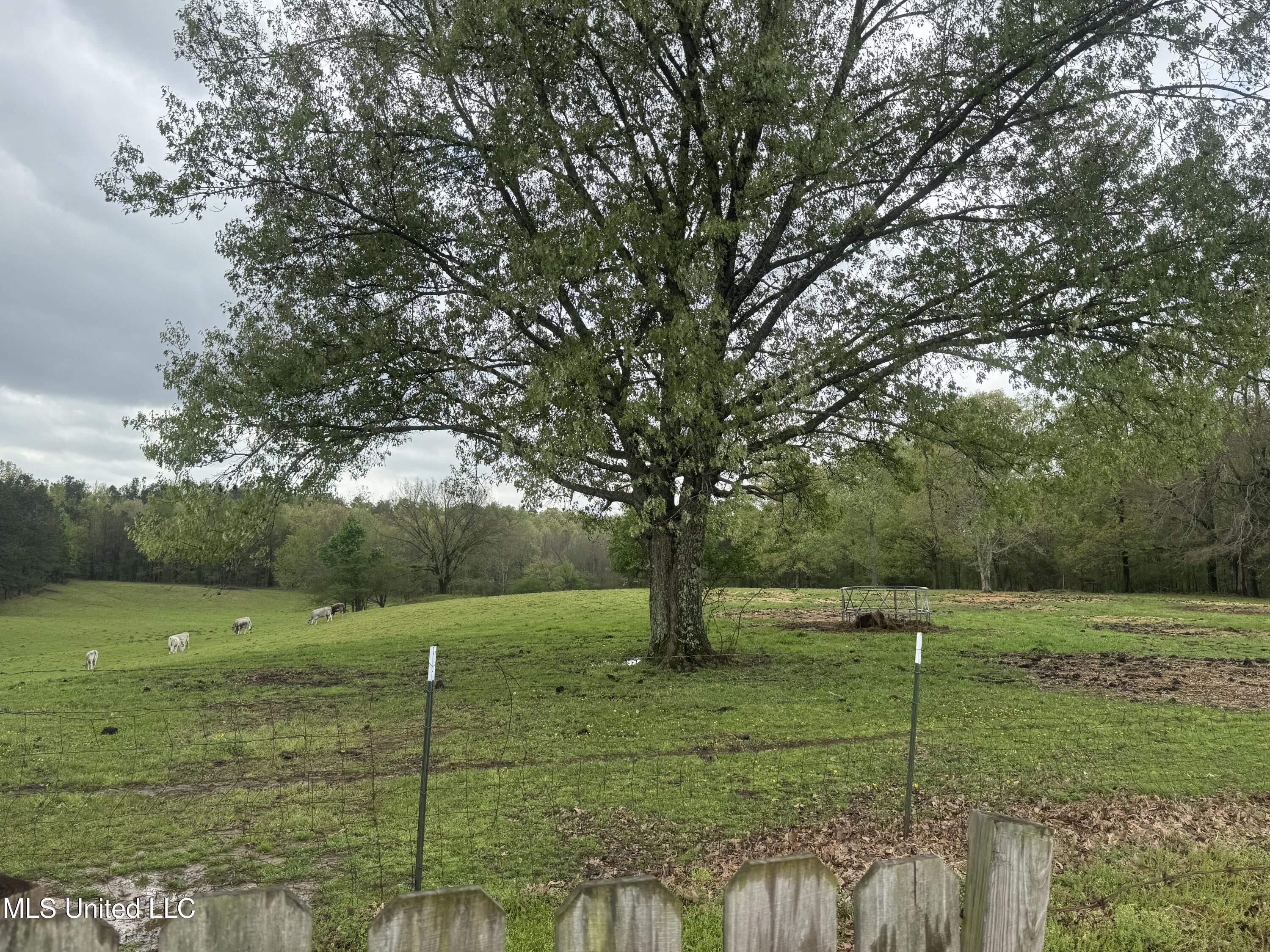 1201 Wheeler Road Property Photo 47