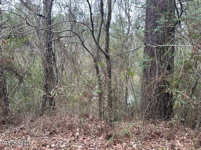 914 Beverly Hills Road Property Photo 5