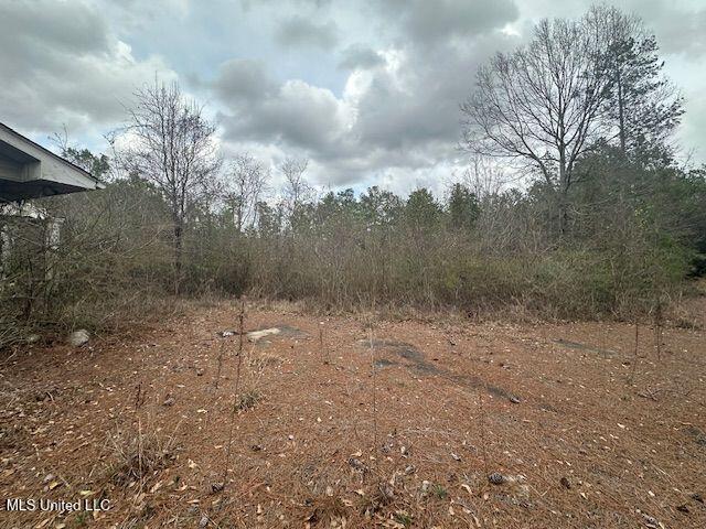 914 Beverly Hills Road Property Photo 9