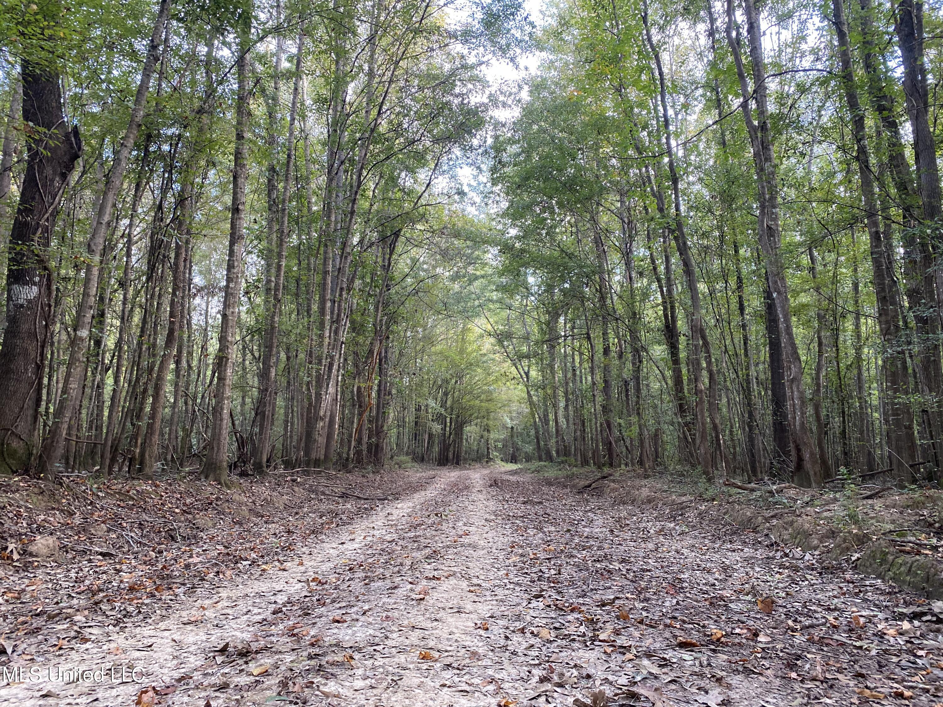 Big Cedar Creek Road Property Photo 1