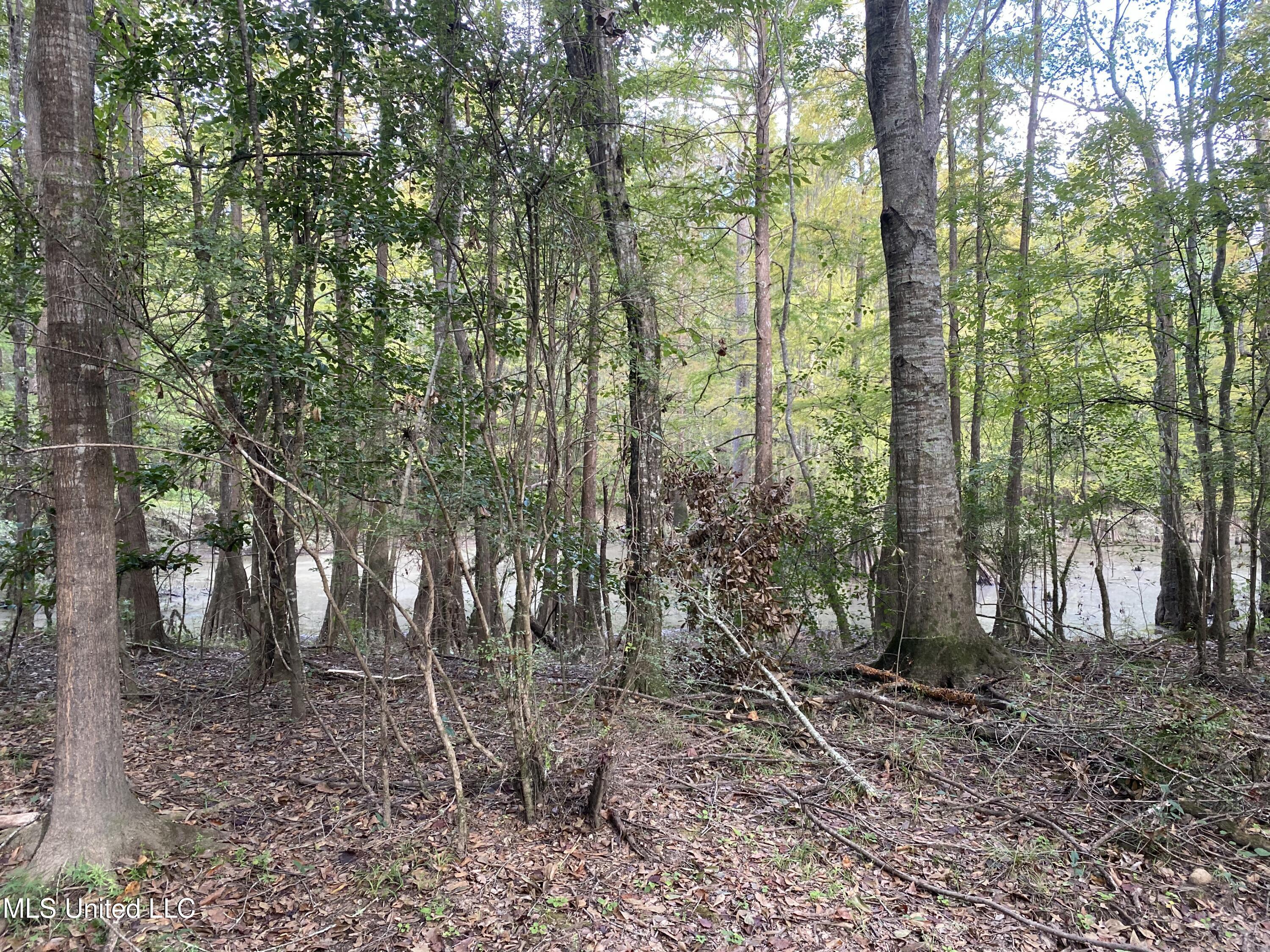 Big Cedar Creek Road Property Photo 2