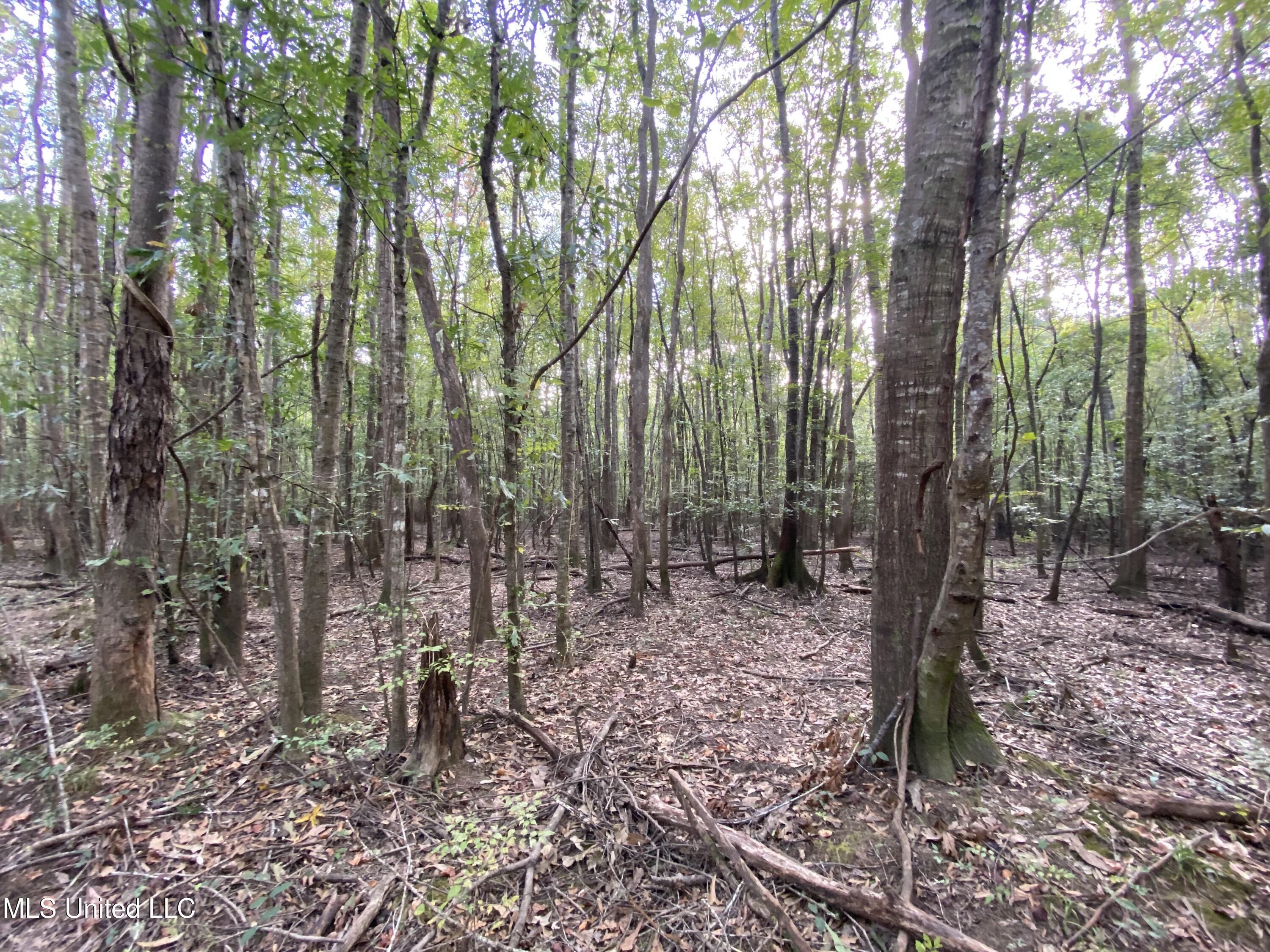 Big Cedar Creek Road Property Photo 3