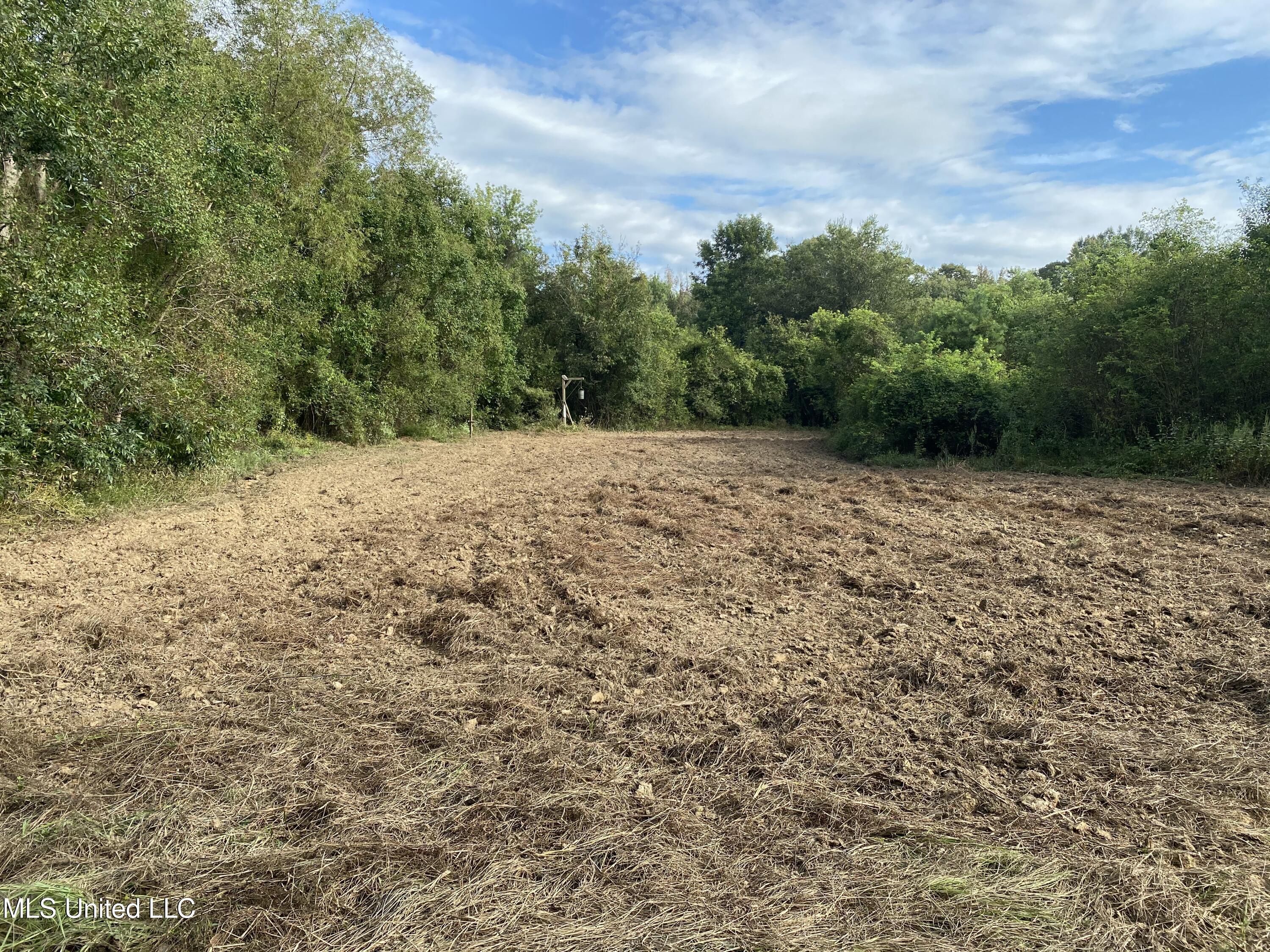 Big Cedar Creek Road Property Photo 6