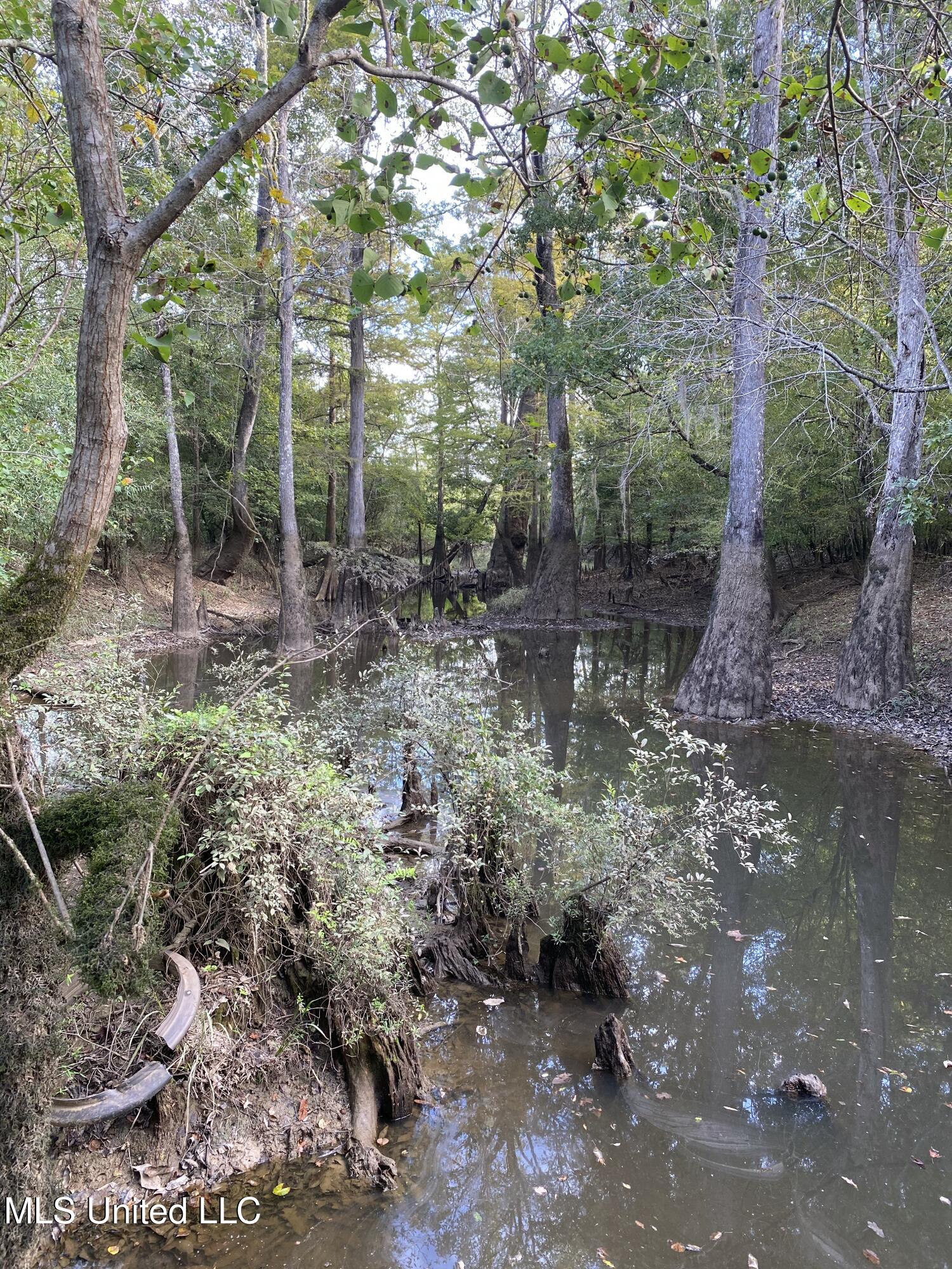 Big Cedar Creek Road Property Photo 7