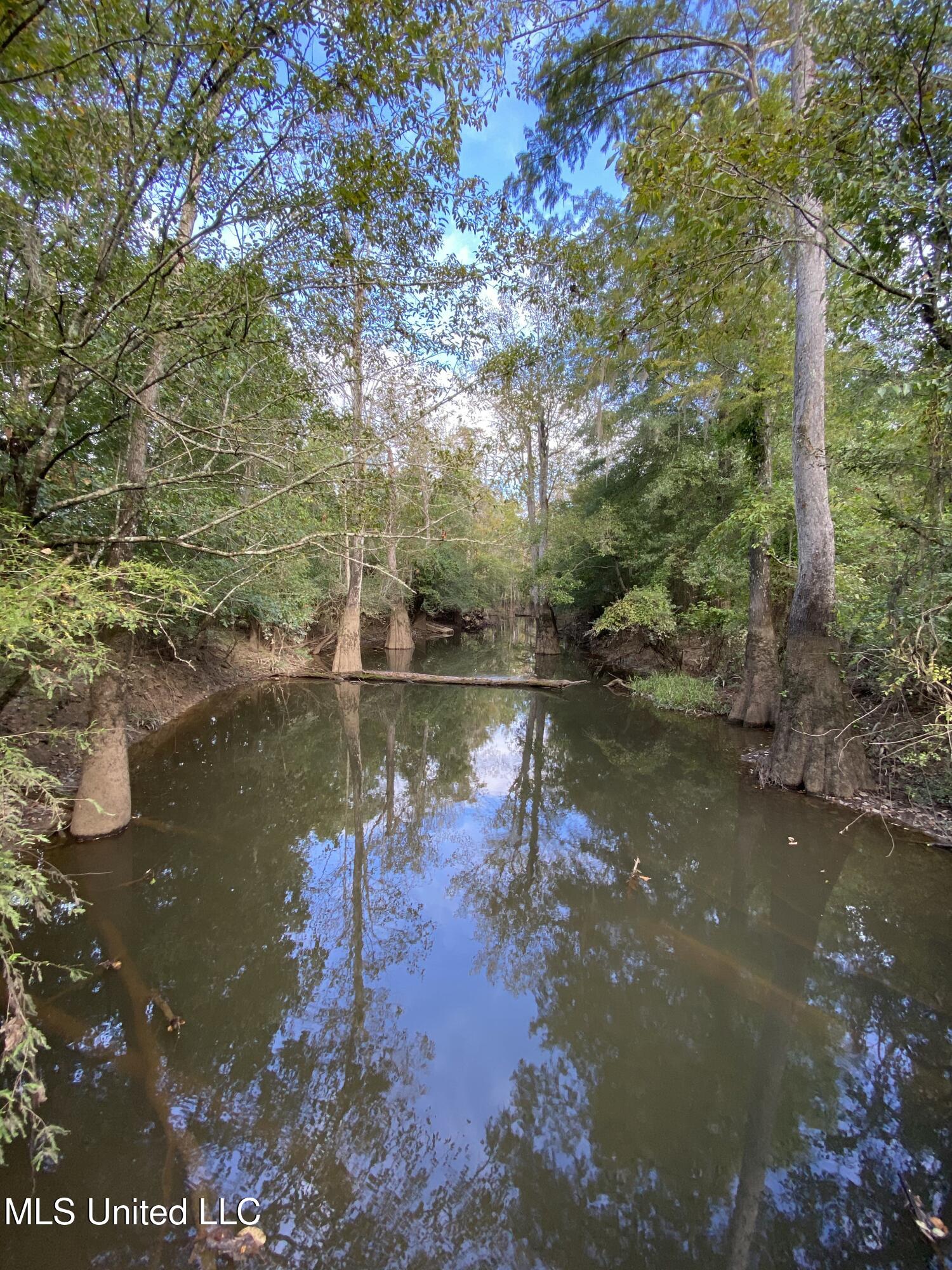 Big Cedar Creek Road Property Photo 8